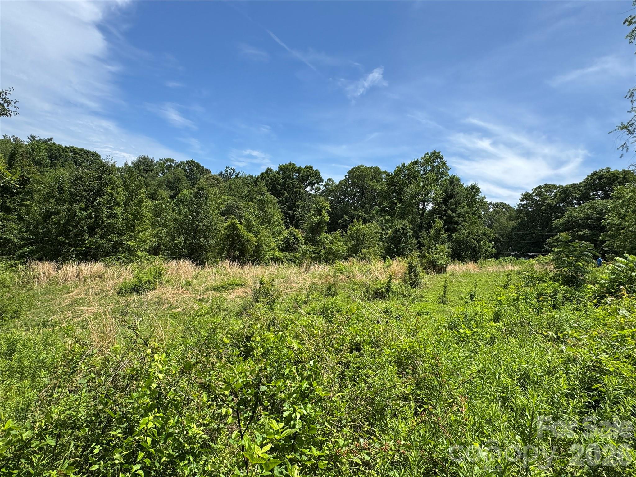 Lot at 99999 Duckett Road, Candler, photo 6 of 28