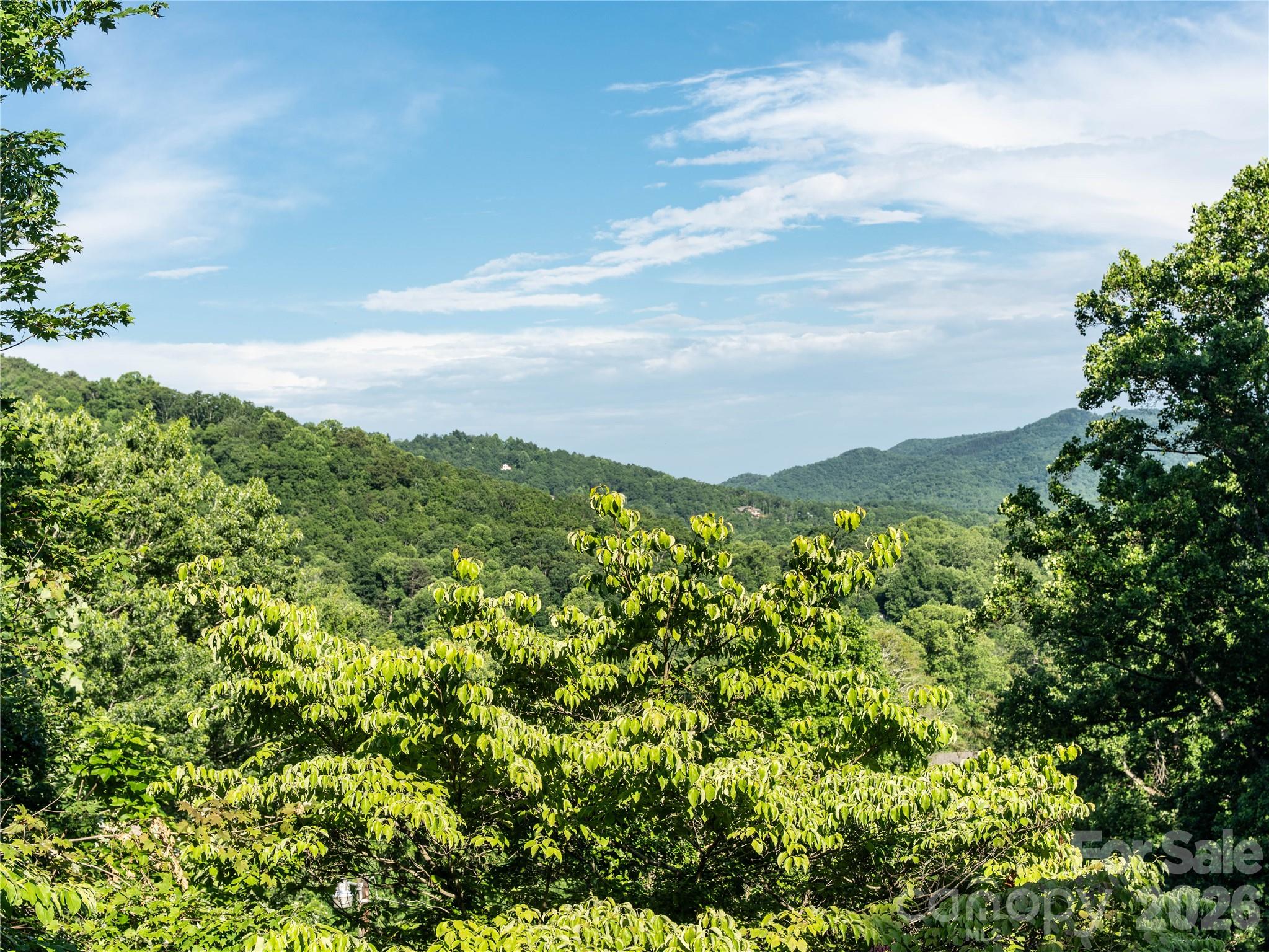 Beautiful views - 45 Mountain View Avenue, Black Mountain