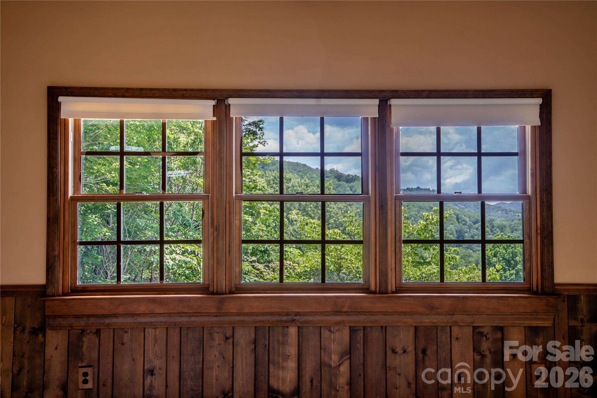 Beautiful bay windows to enjot the views - 45 Mountain View Avenue, Black Mountain