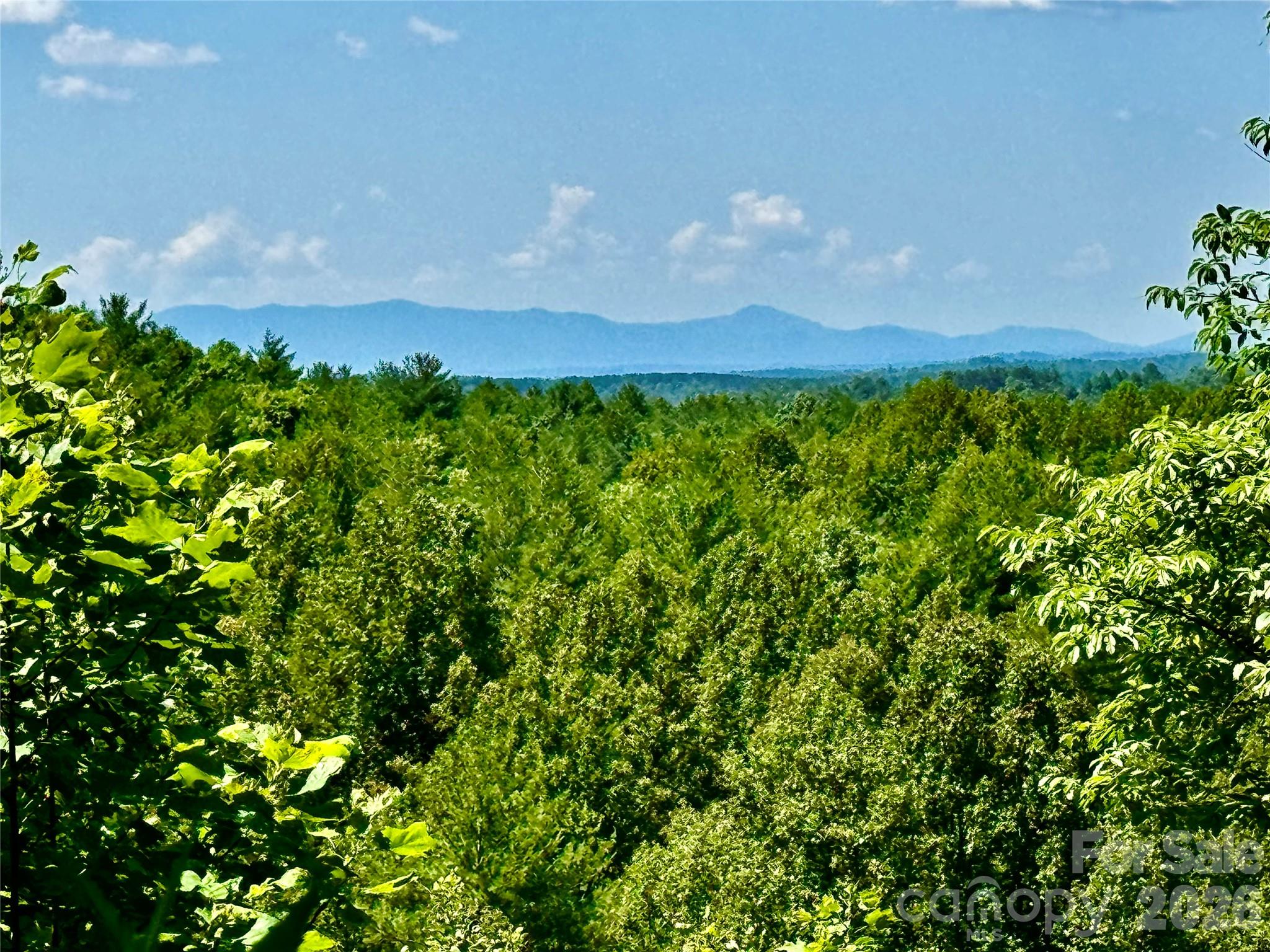 10 acres, Lot 528, Scenic Vista Trail