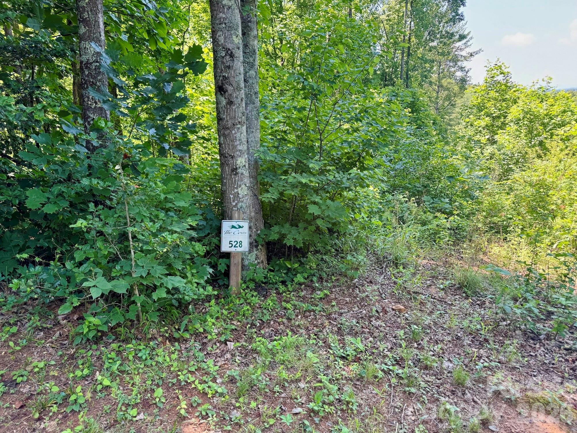 Lot at 10 acres, Lot 528, Scenic Vista Trail, Lenoir, photo 2 of 37