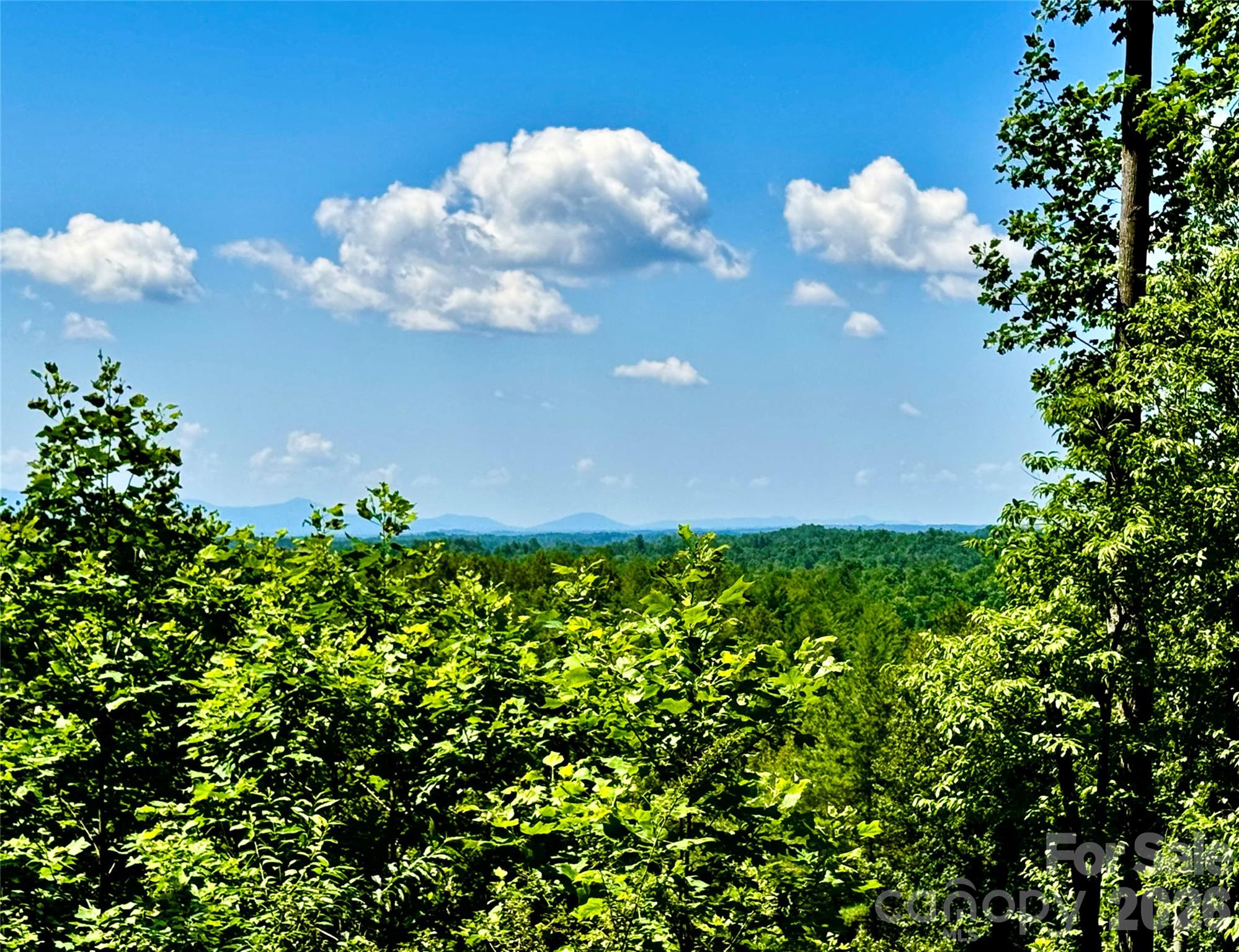 Lot at 10 acres, Lot 528, Scenic Vista Trail, Lenoir, photo 3 of 37