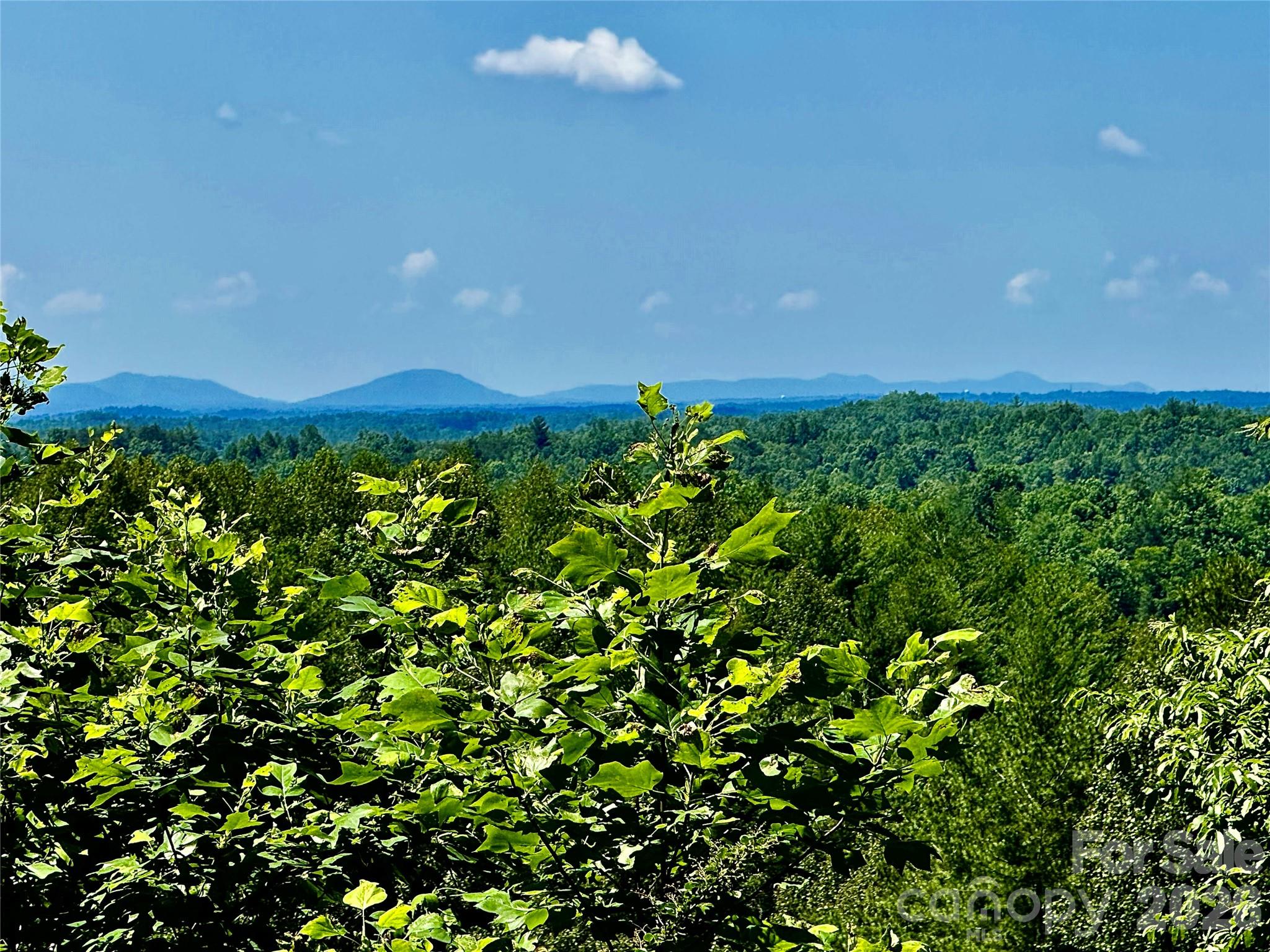 Lot at 10 acres, Lot 528, Scenic Vista Trail, Lenoir, photo 4 of 37
