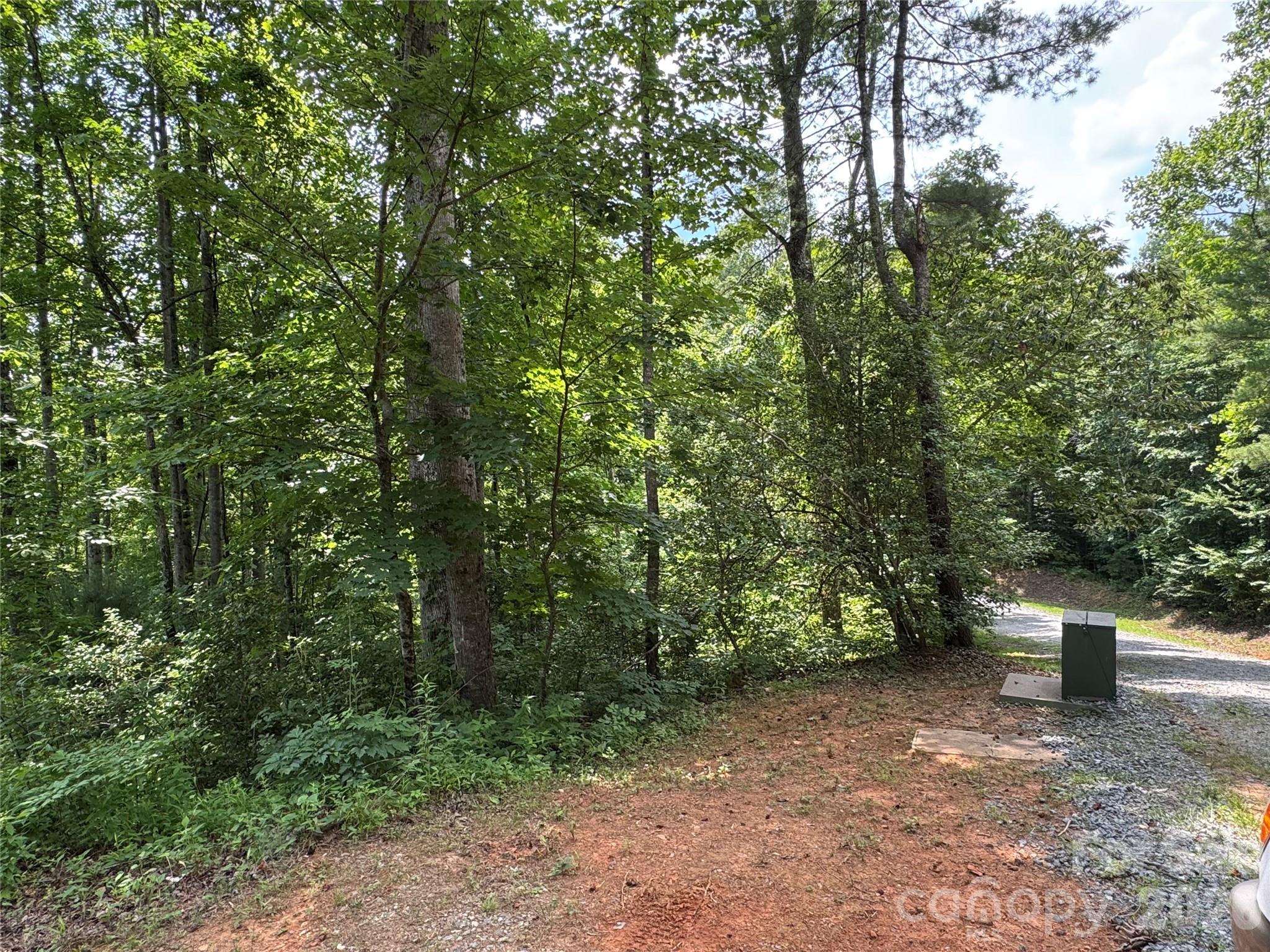Lot at 10 acres, Lot 528, Scenic Vista Trail, Lenoir, photo 6 of 37