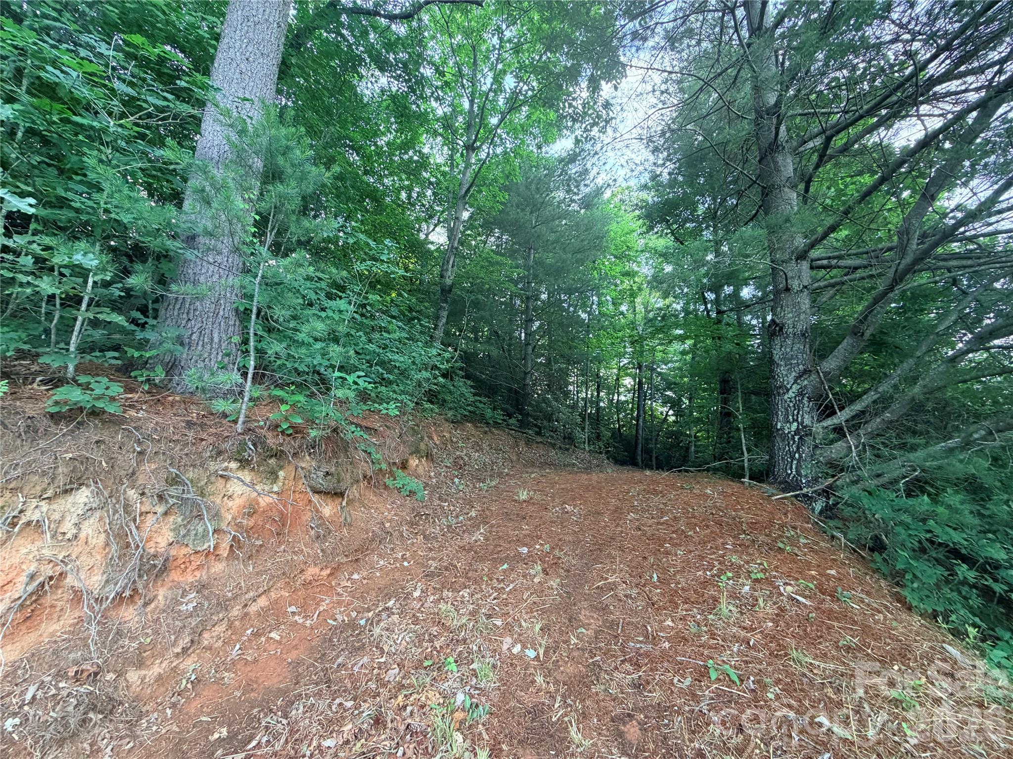 Lot at 0 Silverglen Way, Hendersonville, photo 3 of 8