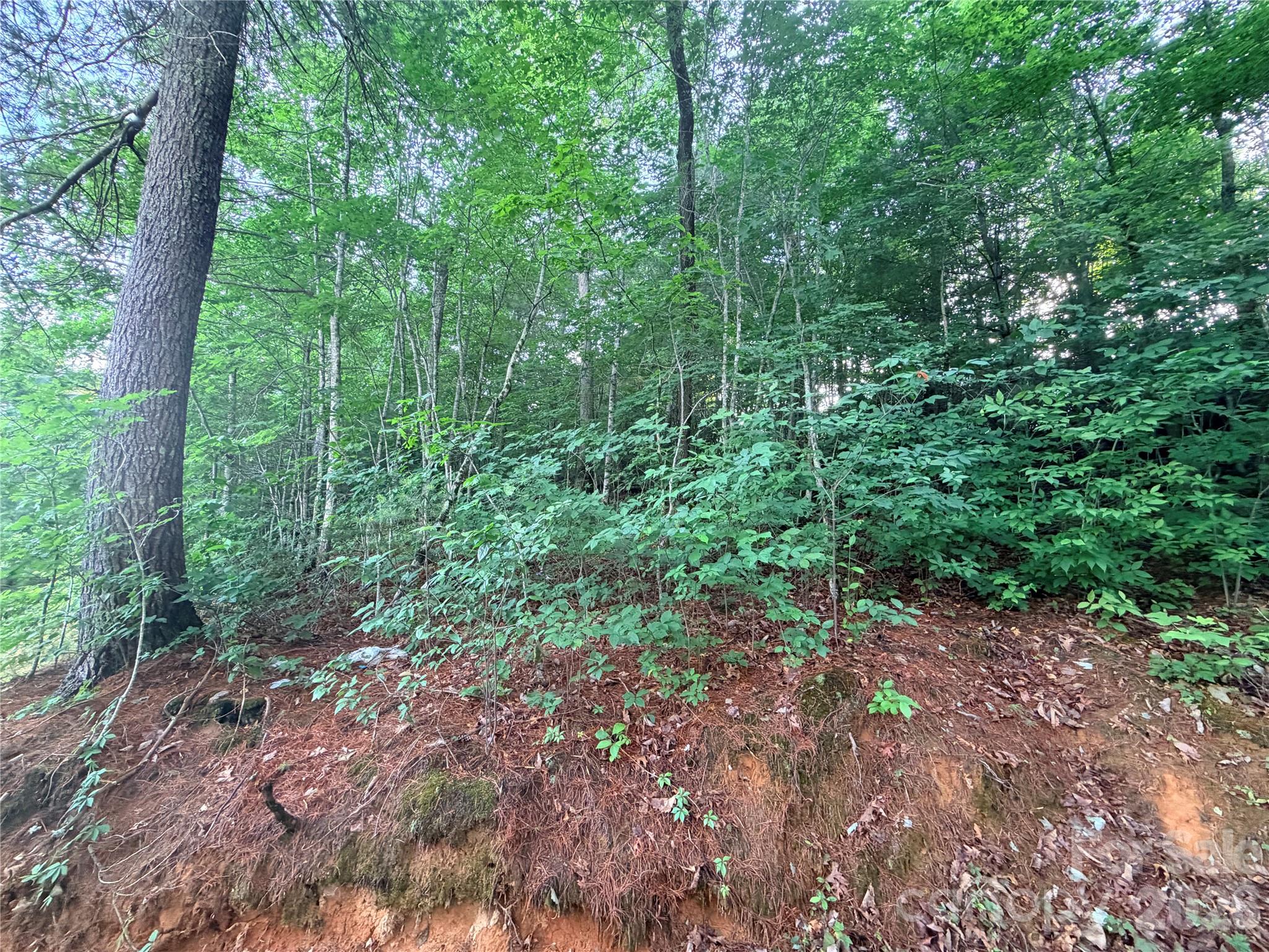 Lot at 0 Silverglen Way, Hendersonville, photo 4 of 8