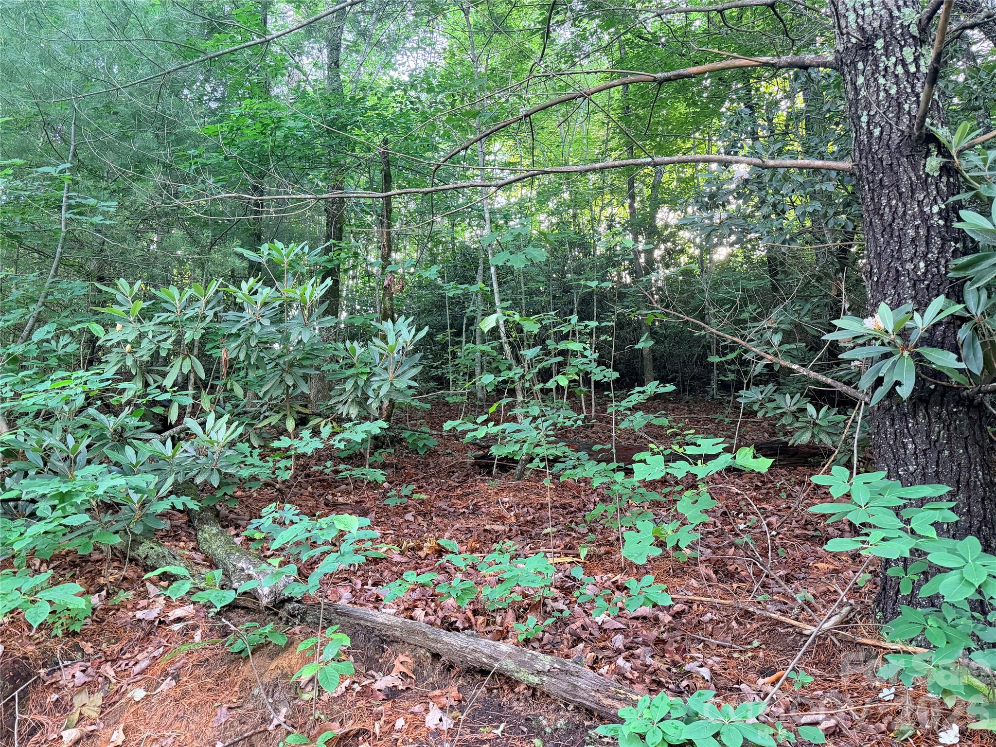 Lot at 0 Silverglen Way, Hendersonville, photo 5 of 8