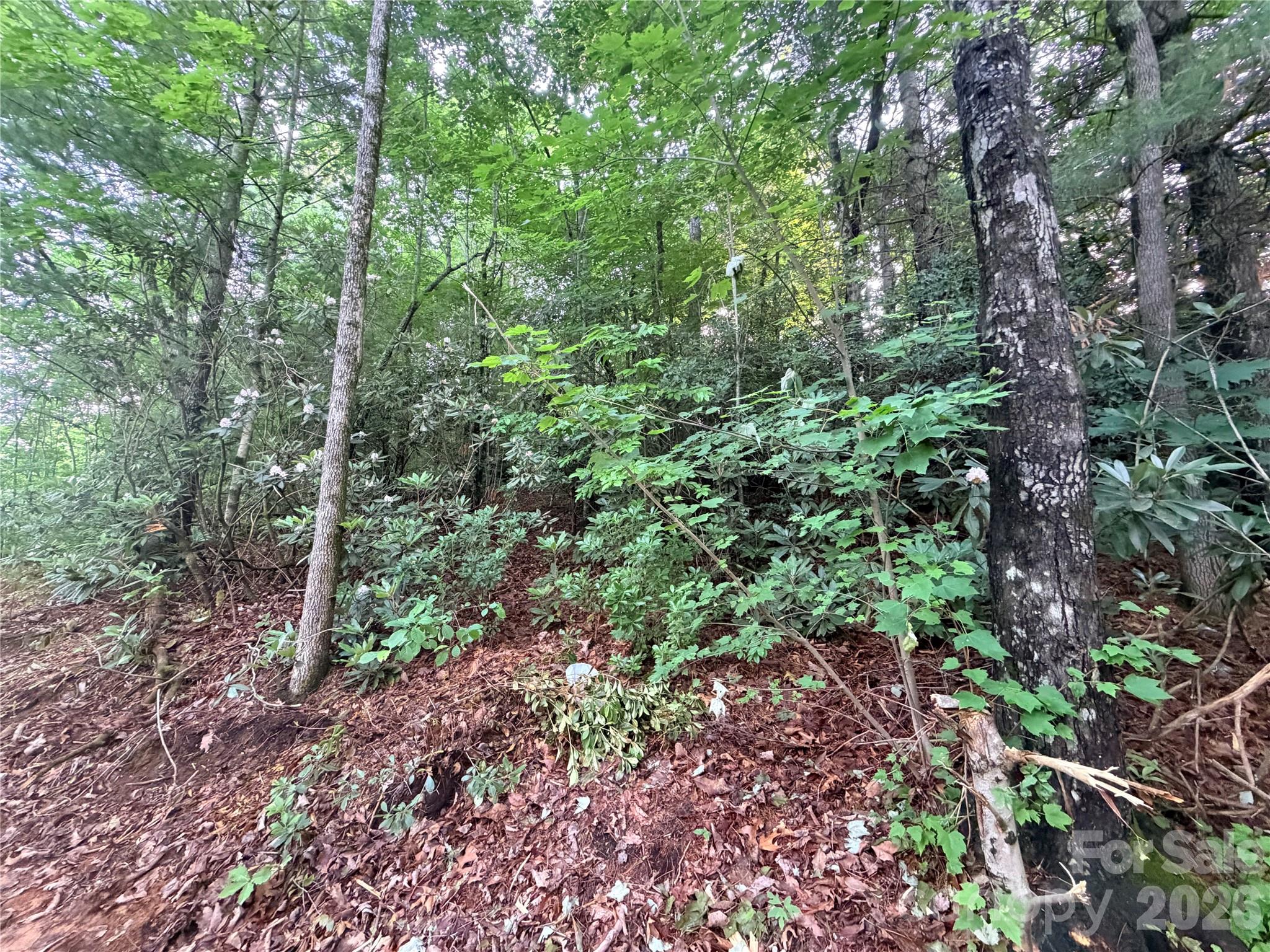 Lot at 0 Silverglen Way, Hendersonville, photo 6 of 8