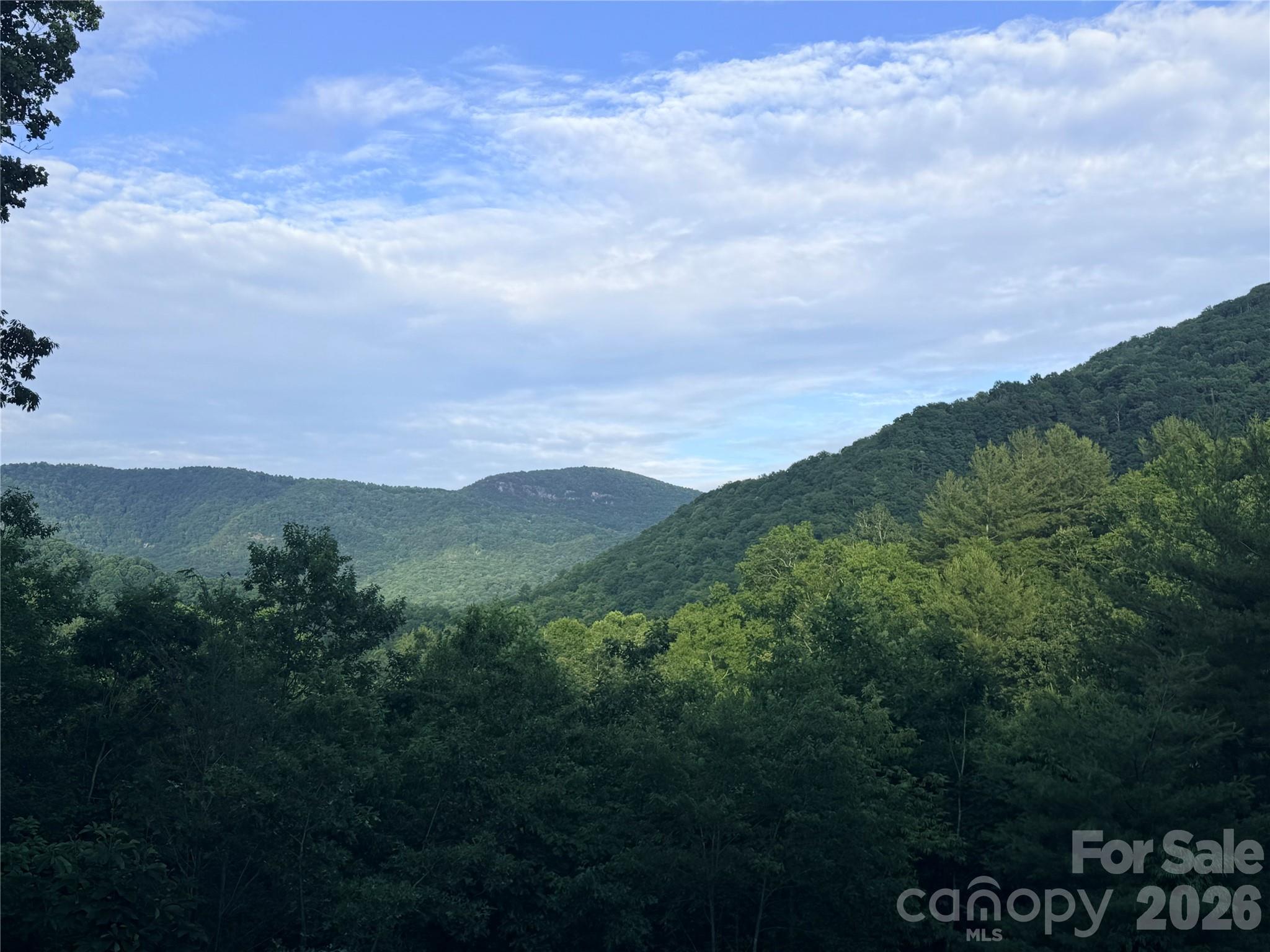 Lot at 0 Silverglen Way, Hendersonville, photo 7 of 8