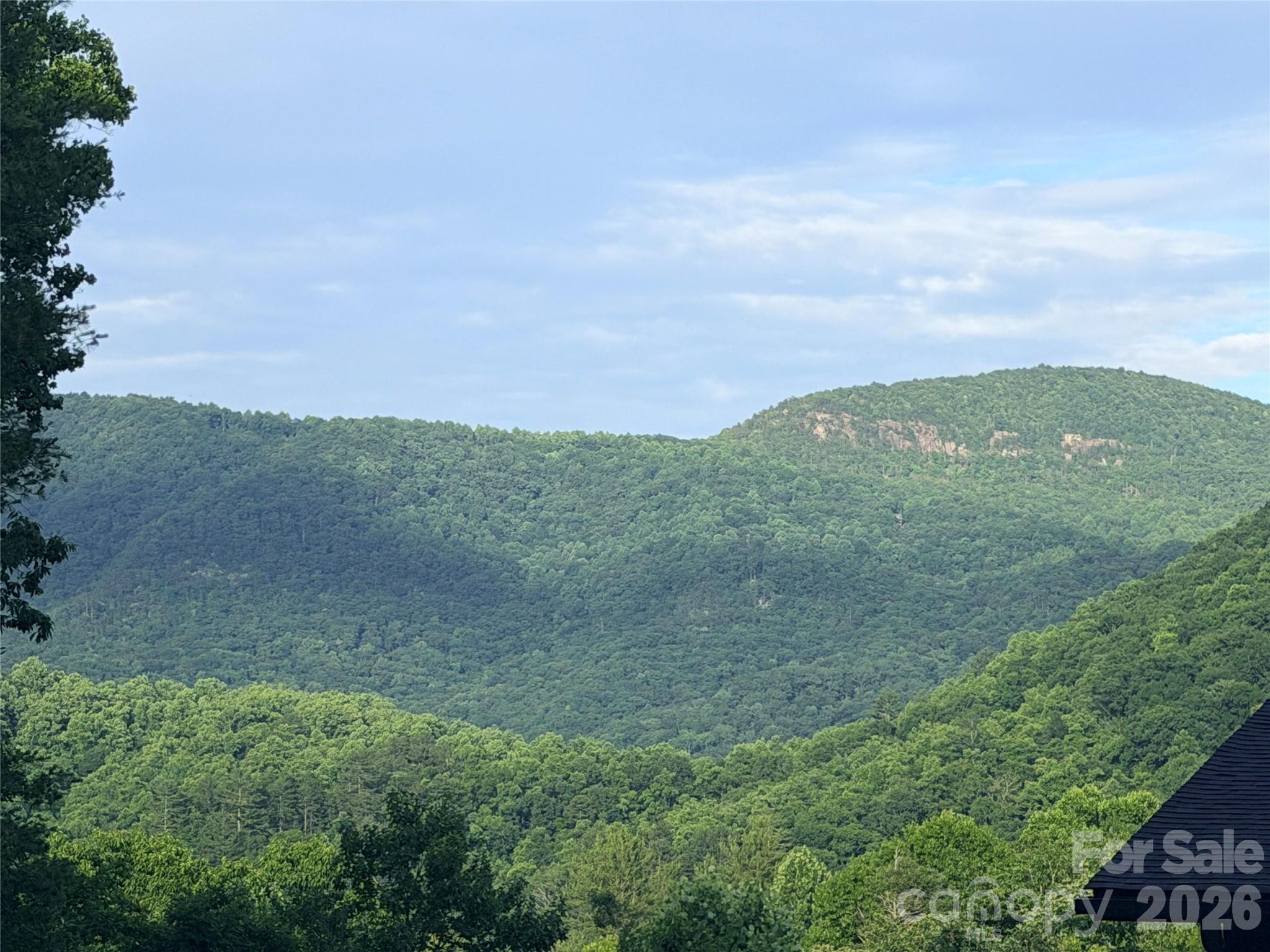 Lot at 0 Silverglen Way, Hendersonville, photo 8 of 8