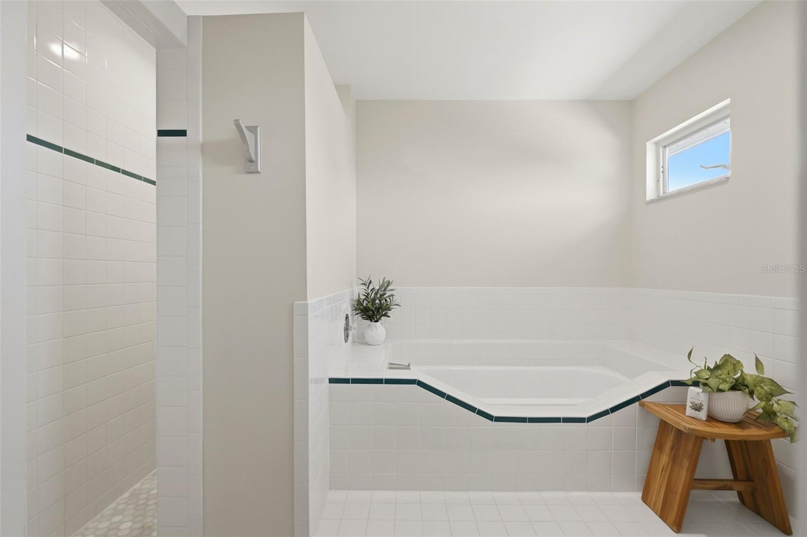 Single Family Residence at 433 MONTE CRISTO BLVD, TIERRA VERDE, photo 33 of 49