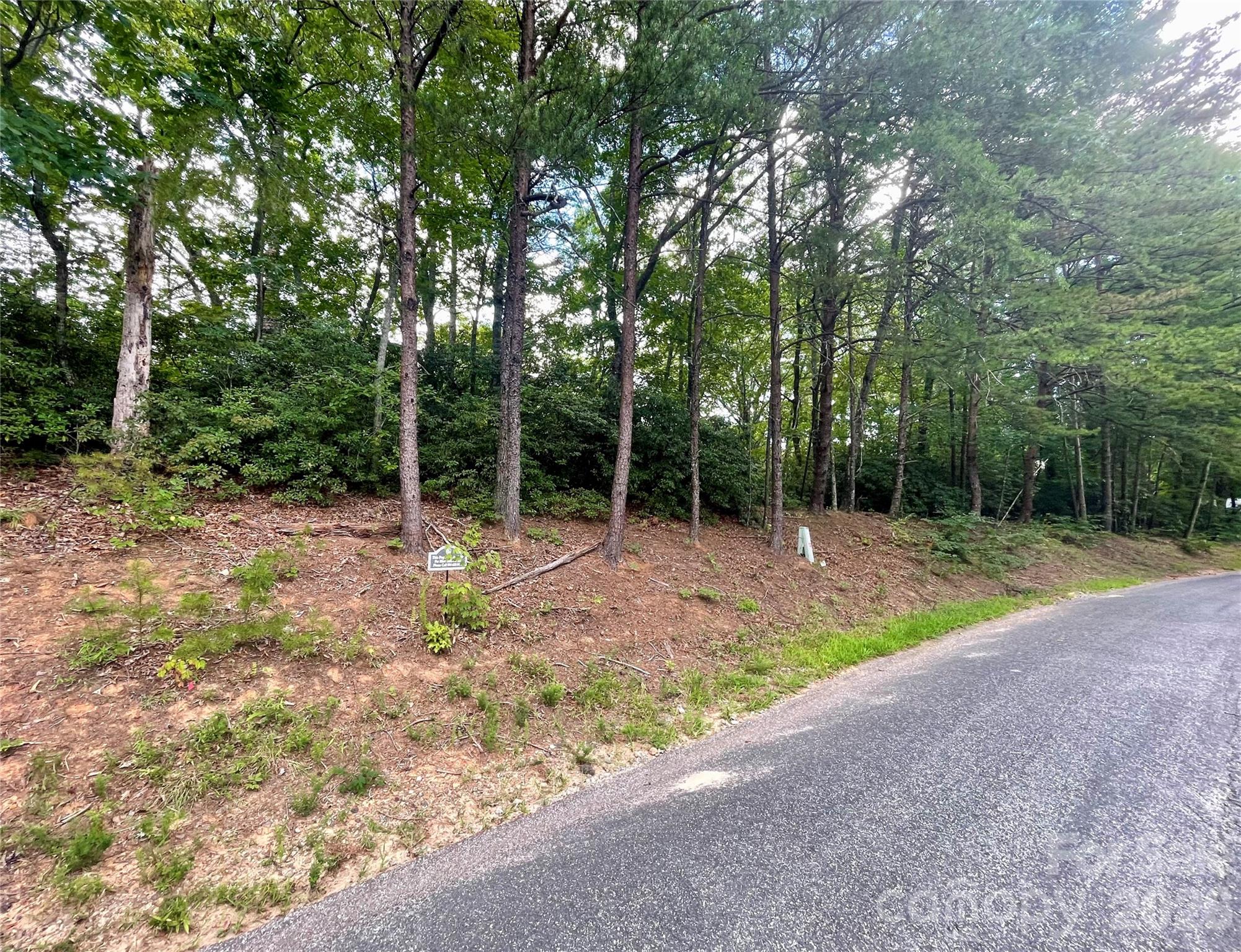 Flat lot great frontage - 282 Quail Ridge Road, Lake Lure