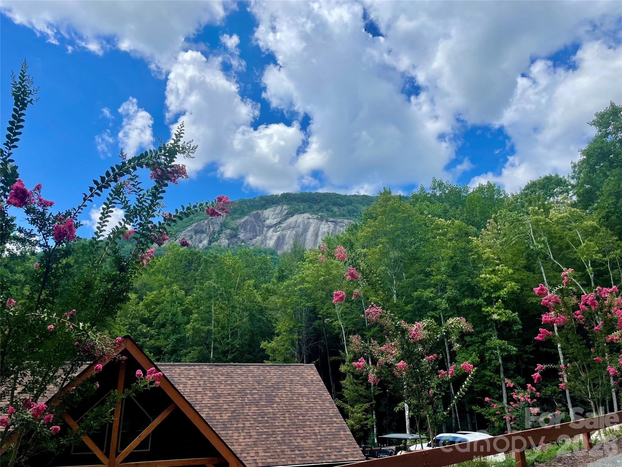 Rumbling bald face - 282 Quail Ridge Road, Lake Lure