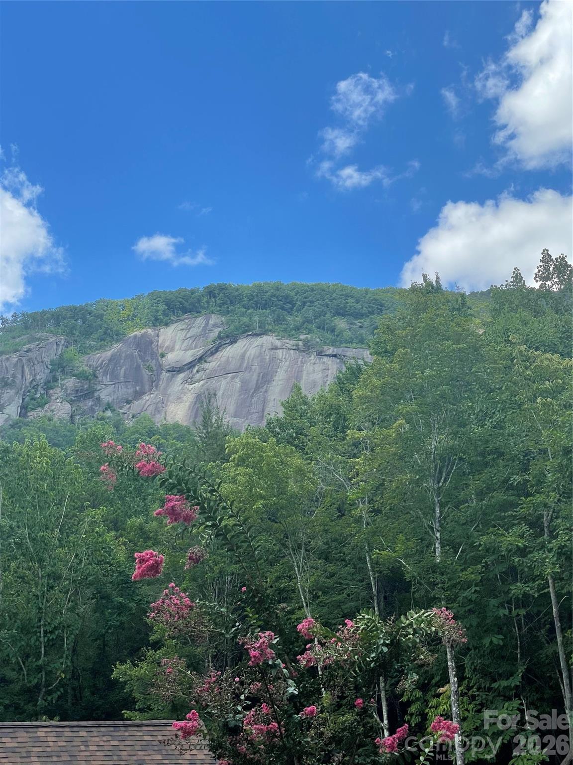 Lot at 282 Quail Ridge Road, Lake Lure, photo 4 of 11