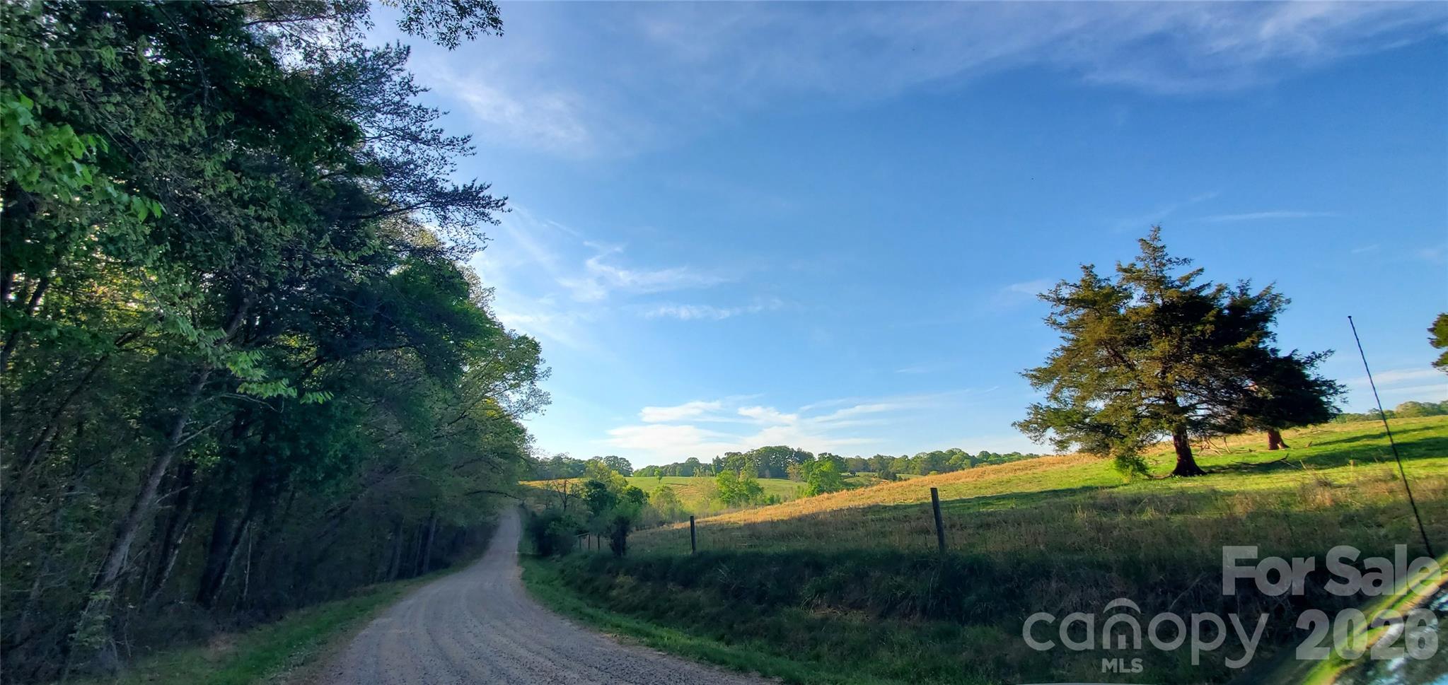 Acreage at 795 Elk Shoals Church Loop, Stony Point, photo 8 of 42