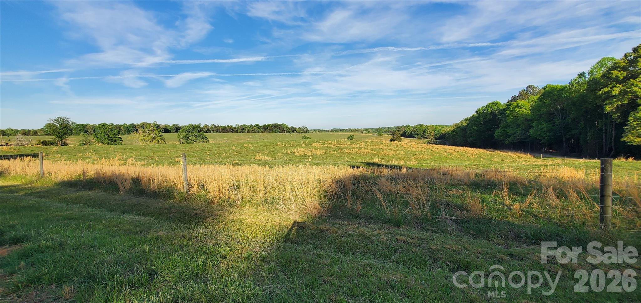 Acreage at 795 Elk Shoals Church Loop, Stony Point, photo 10 of 42