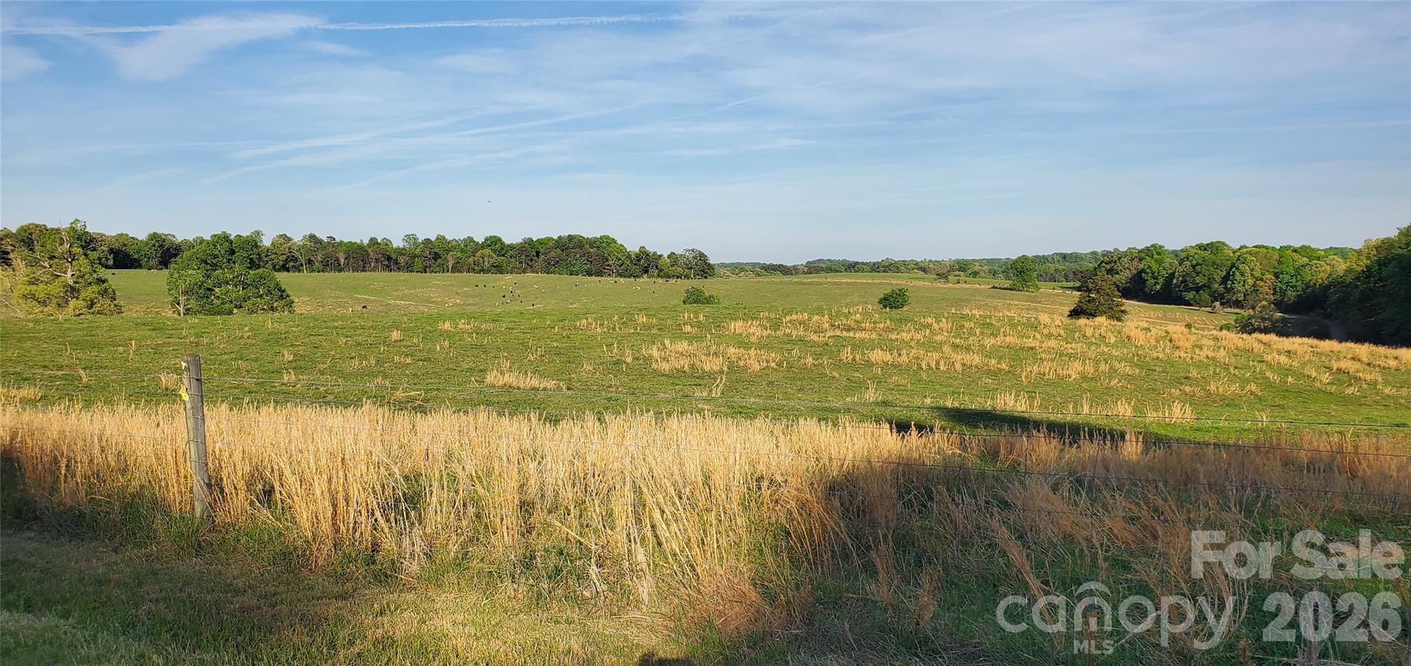 Acreage at 795 Elk Shoals Church Loop, Stony Point, photo 11 of 42