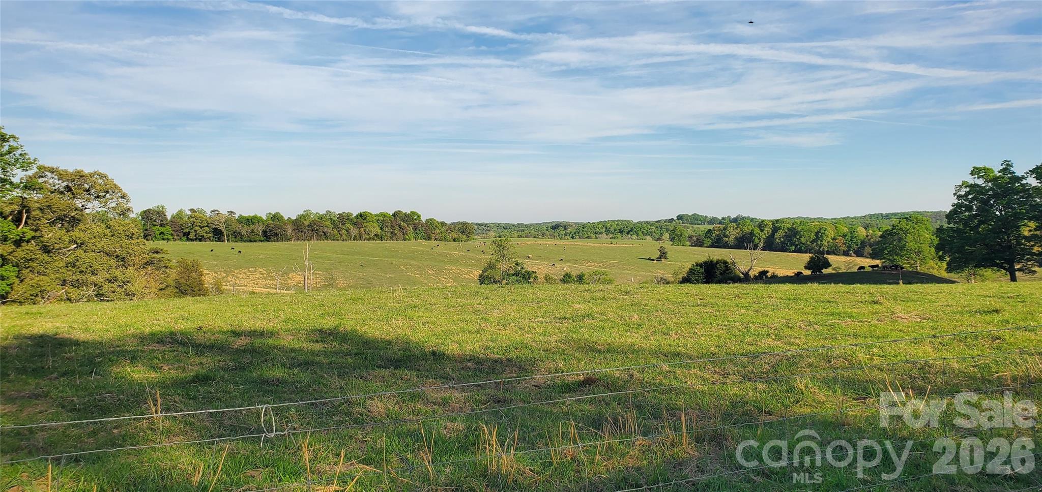 Acreage at 795 Elk Shoals Church Loop, Stony Point, photo 15 of 42