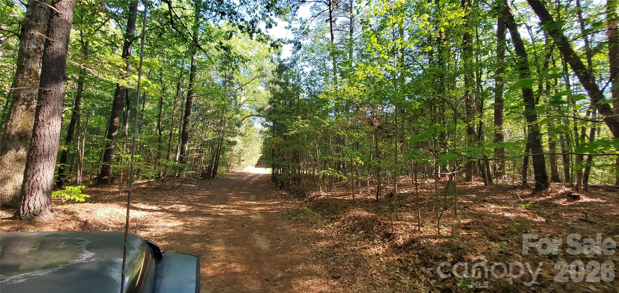 Acreage at 795 Elk Shoals Church Loop, Stony Point, photo 30 of 42