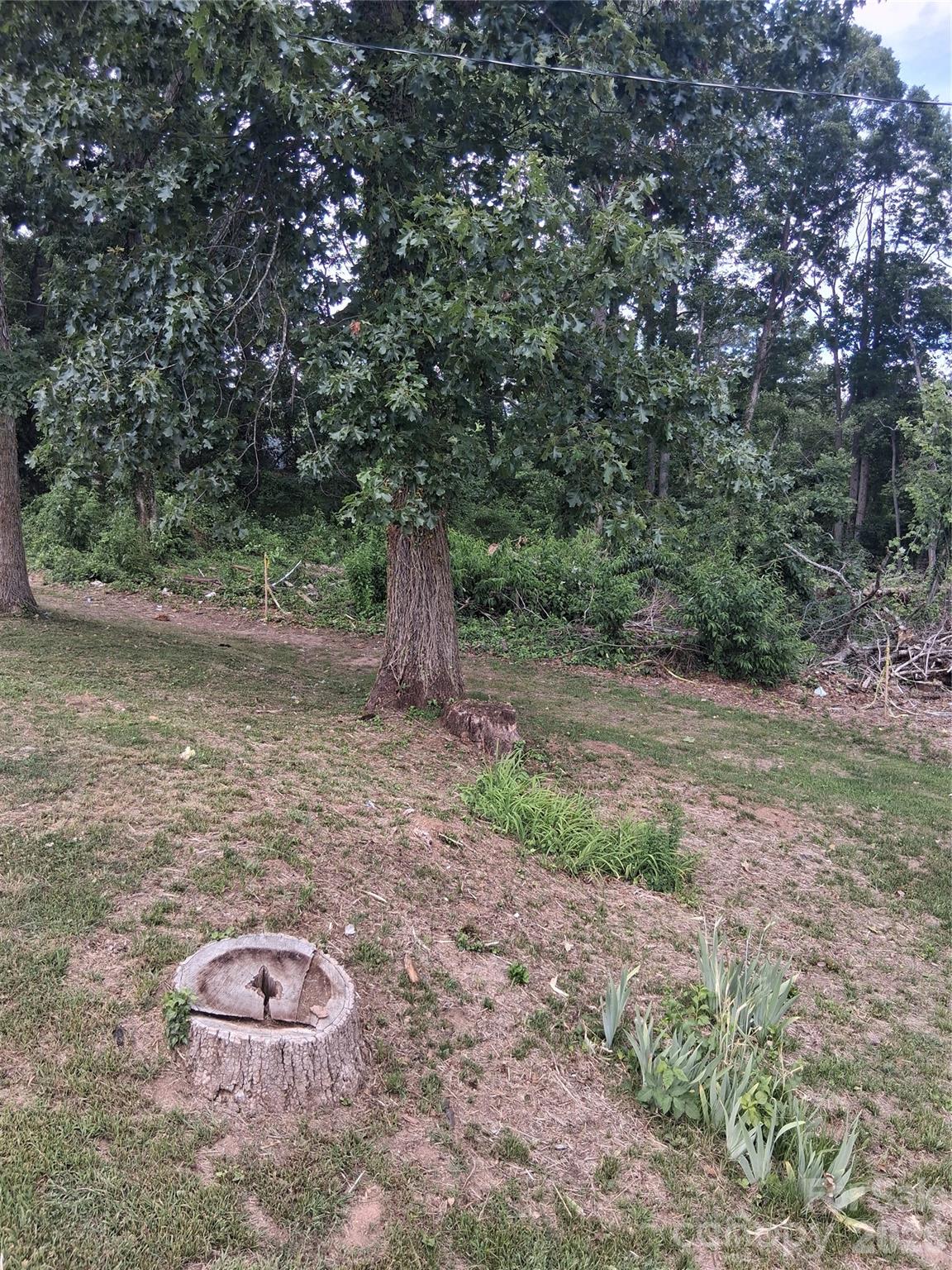 Lot at 25 Oak Hill Drive, Asheville