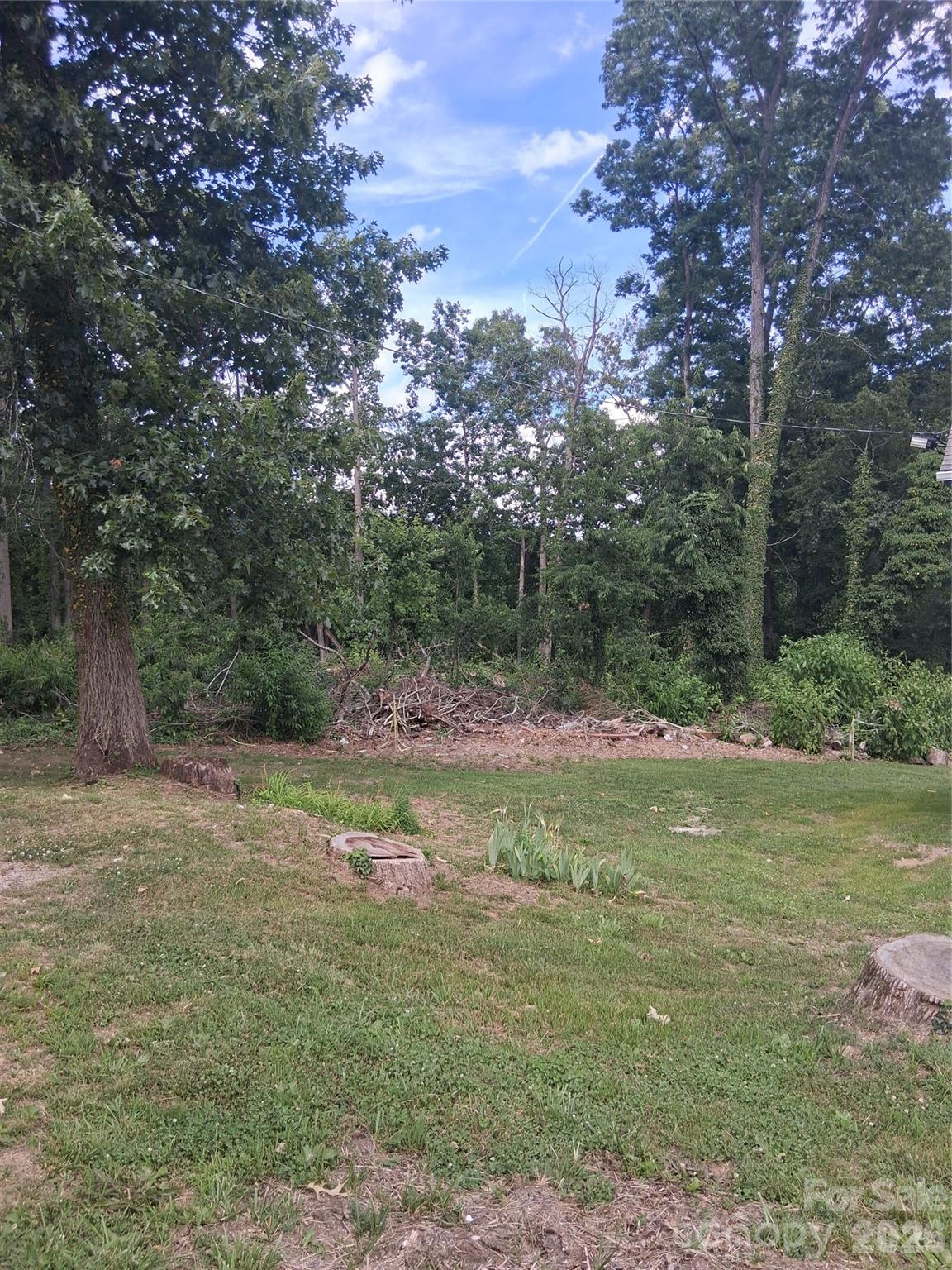 Lot at 25 Oak Hill Drive, Asheville, photo 2 of 23