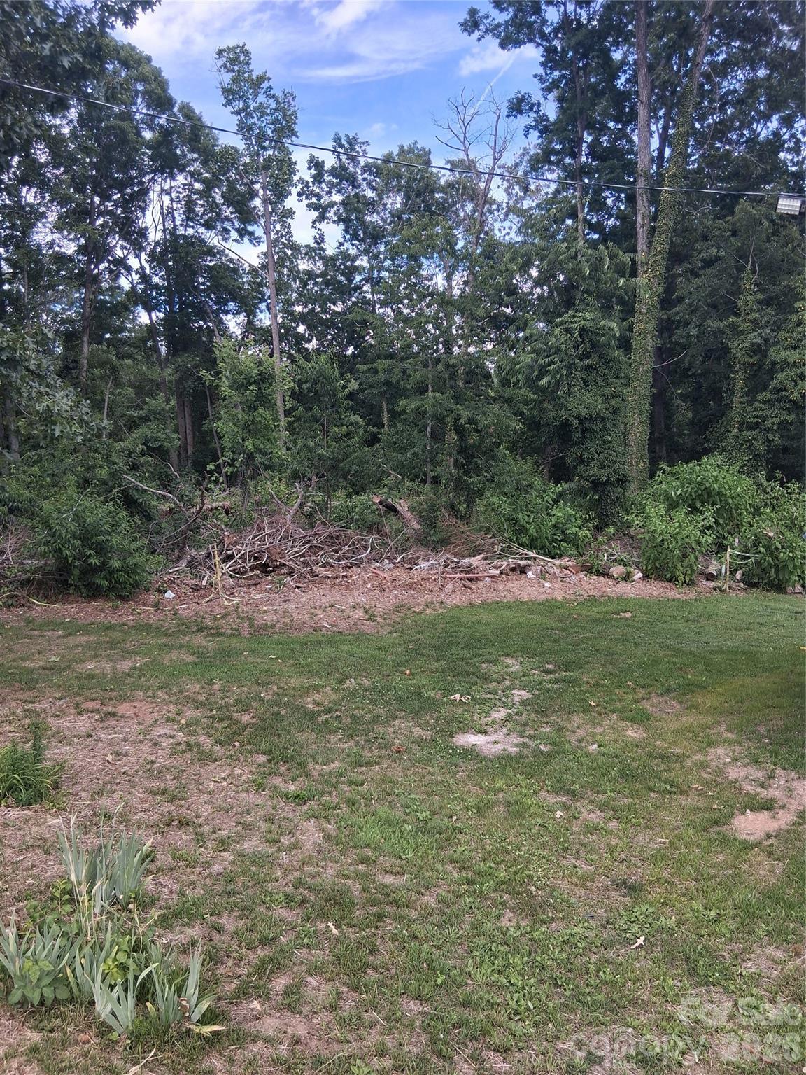 Lot at 25 Oak Hill Drive, Asheville, photo 3 of 23
