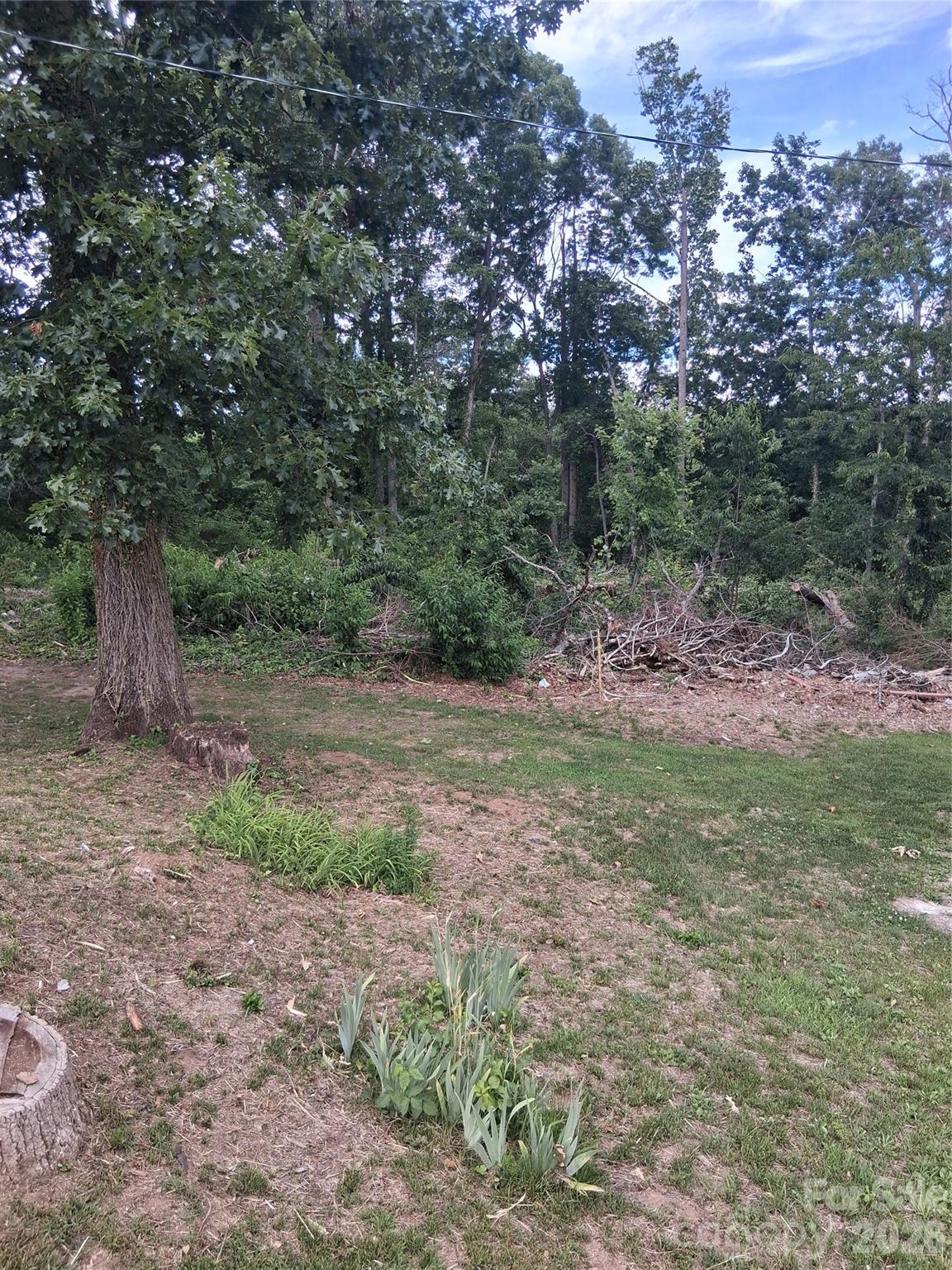 Lot at 25 Oak Hill Drive, Asheville, photo 6 of 23