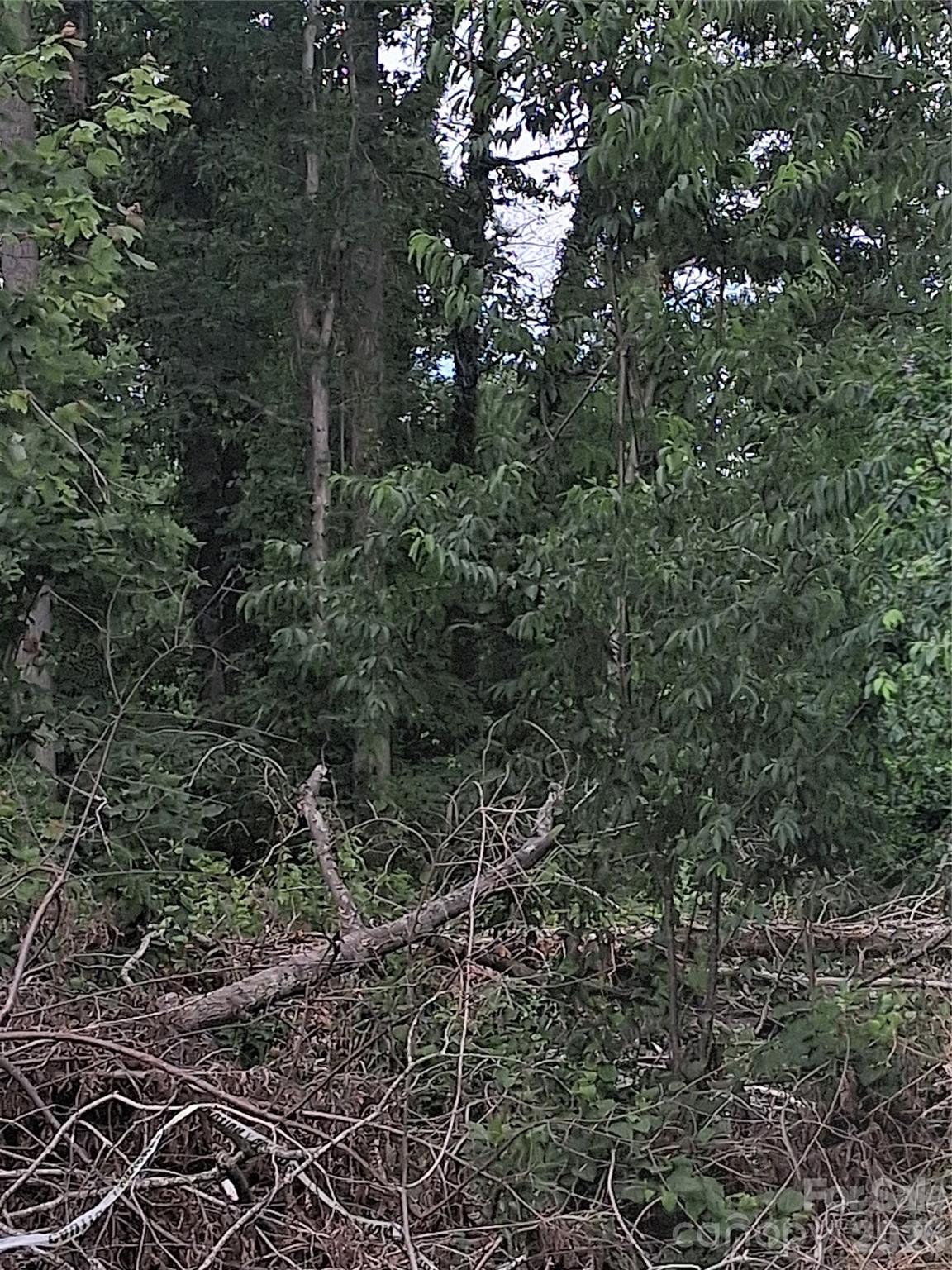Lot at 25 Oak Hill Drive, Asheville, photo 7 of 23