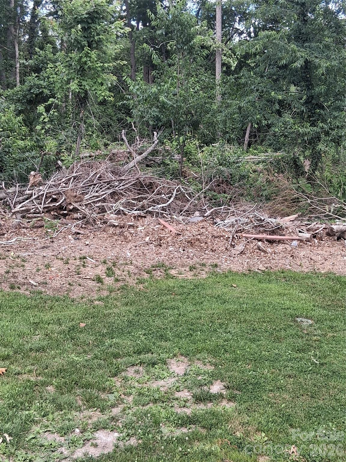 Lot at 25 Oak Hill Drive, Asheville, photo 8 of 23