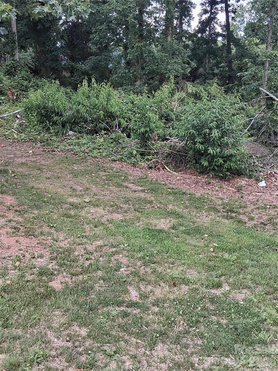 Lot at 25 Oak Hill Drive, Asheville, photo 9 of 23