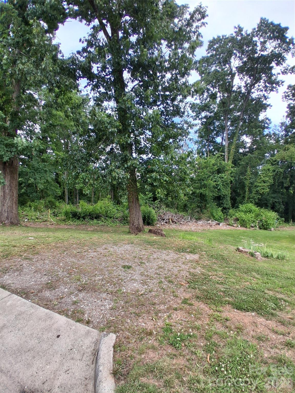 Lot at 25 Oak Hill Drive, Asheville, photo 12 of 23