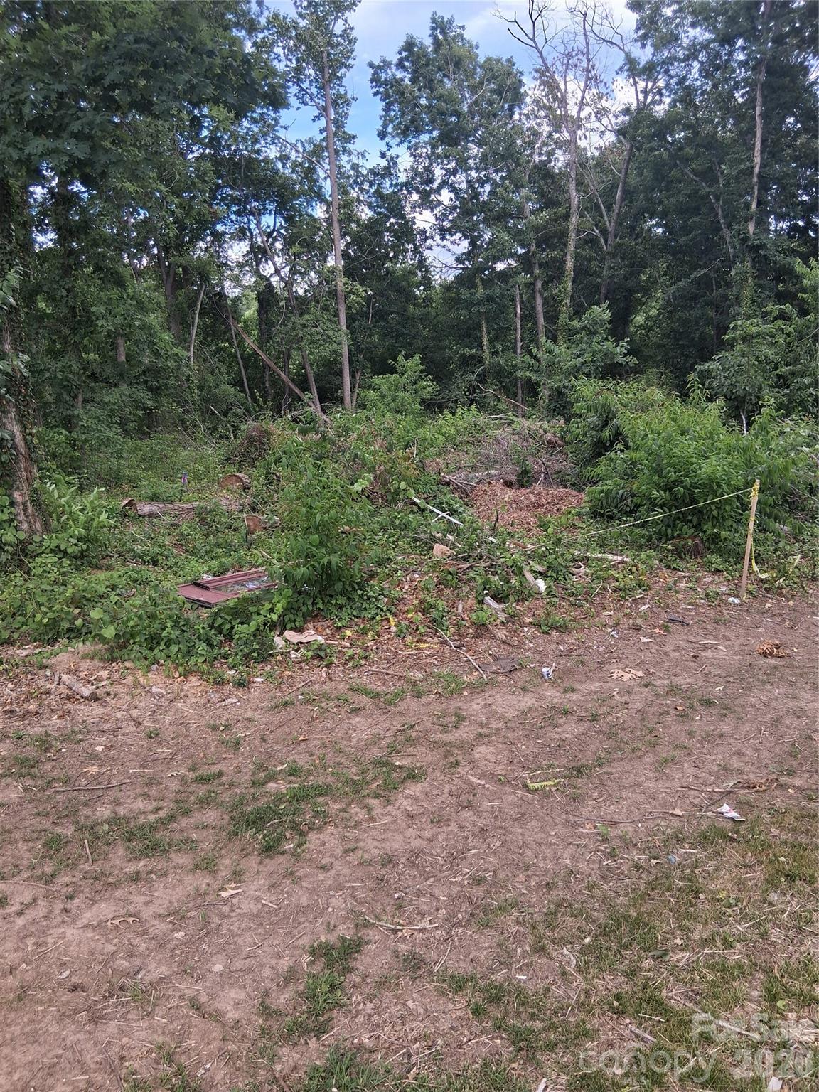 Lot at 25 Oak Hill Drive, Asheville, photo 13 of 23