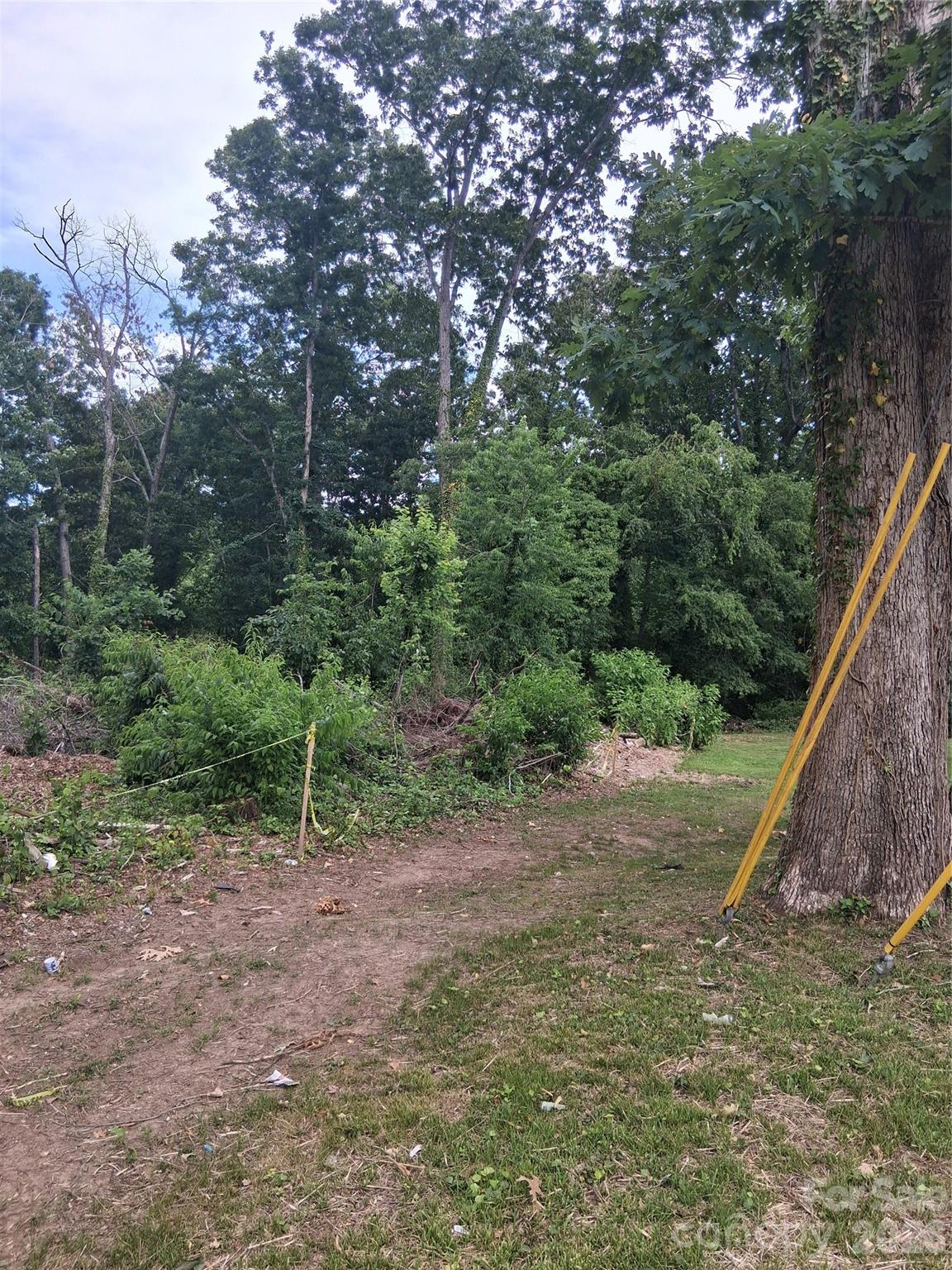 Lot at 25 Oak Hill Drive, Asheville, photo 14 of 23