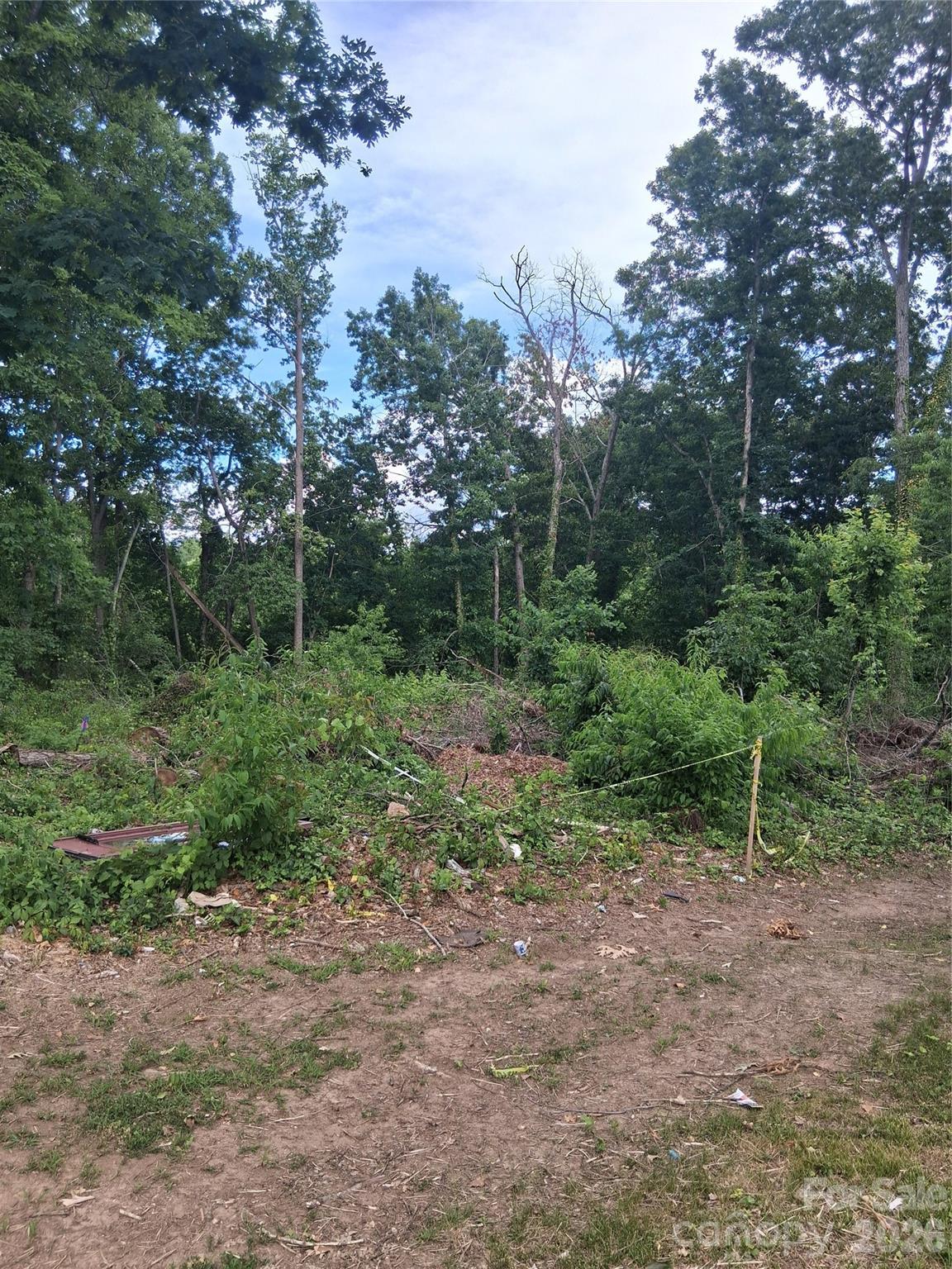 Lot at 25 Oak Hill Drive, Asheville, photo 15 of 23