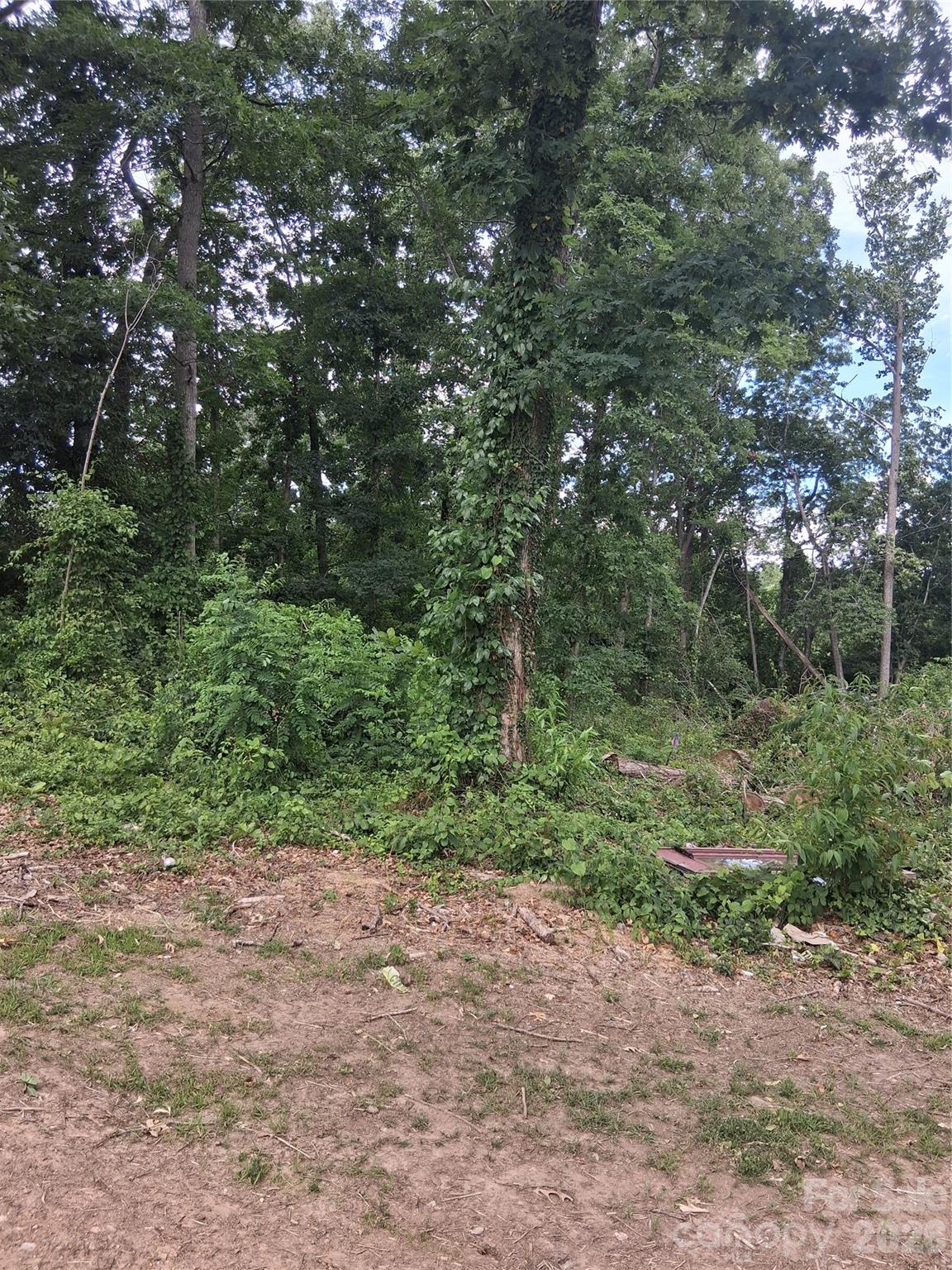 Lot at 25 Oak Hill Drive, Asheville, photo 16 of 23