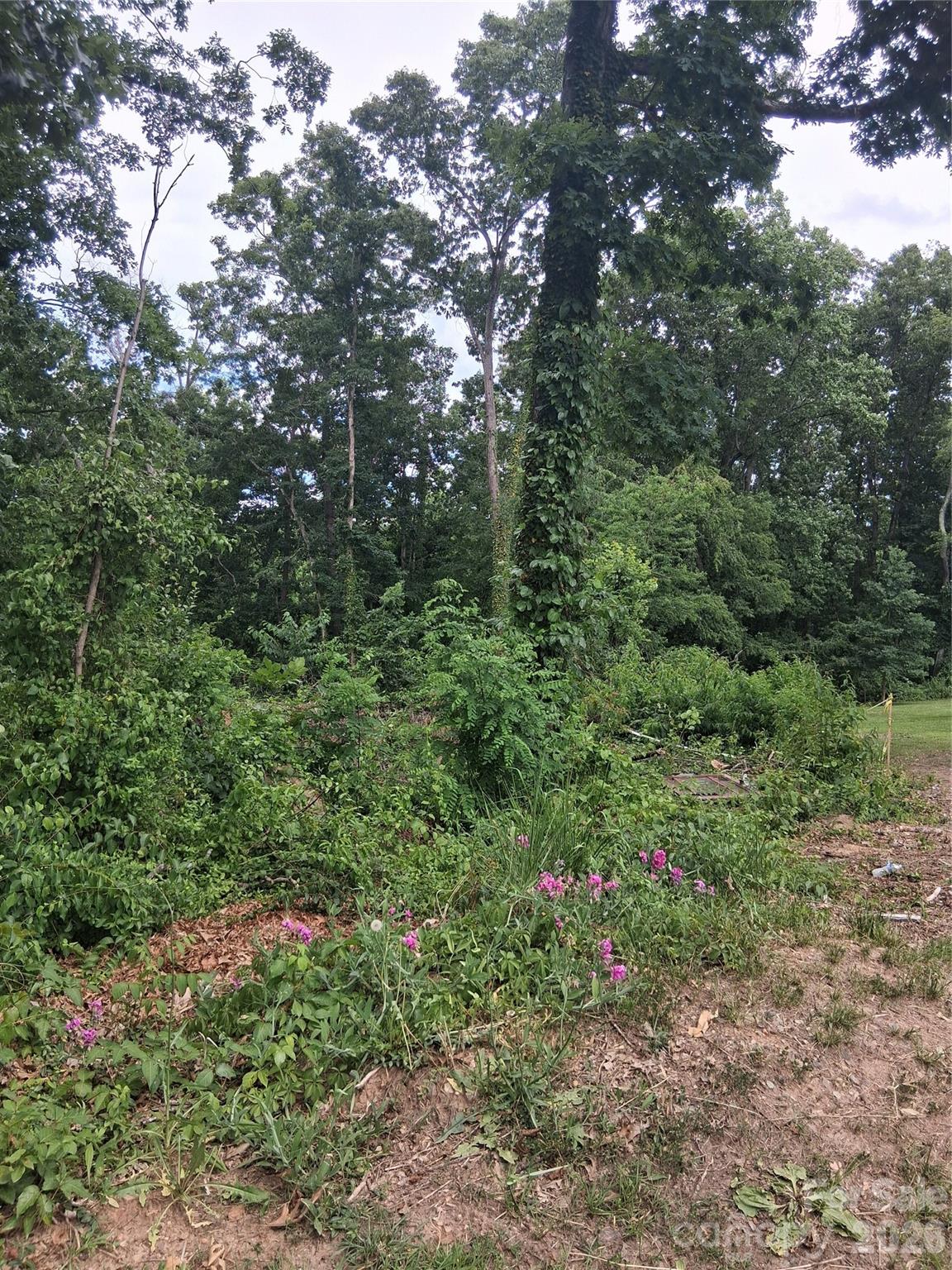 Lot at 25 Oak Hill Drive, Asheville, photo 17 of 23