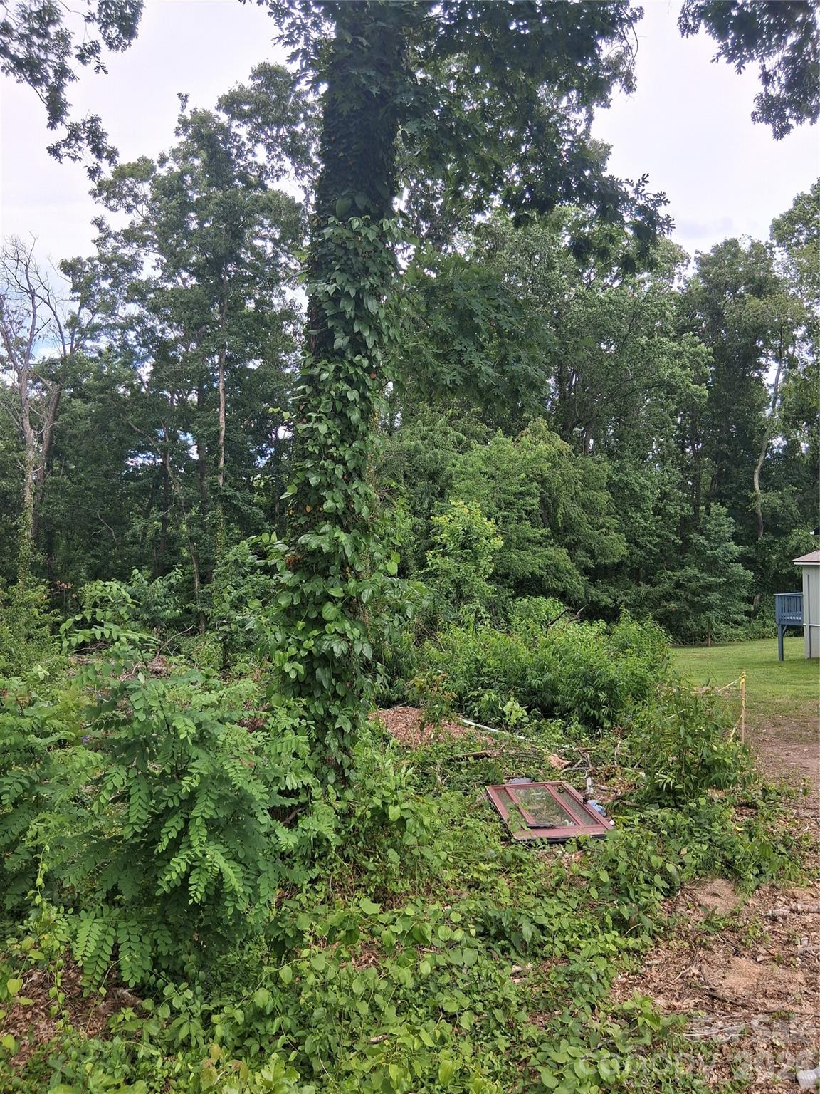 Lot at 25 Oak Hill Drive, Asheville, photo 18 of 23