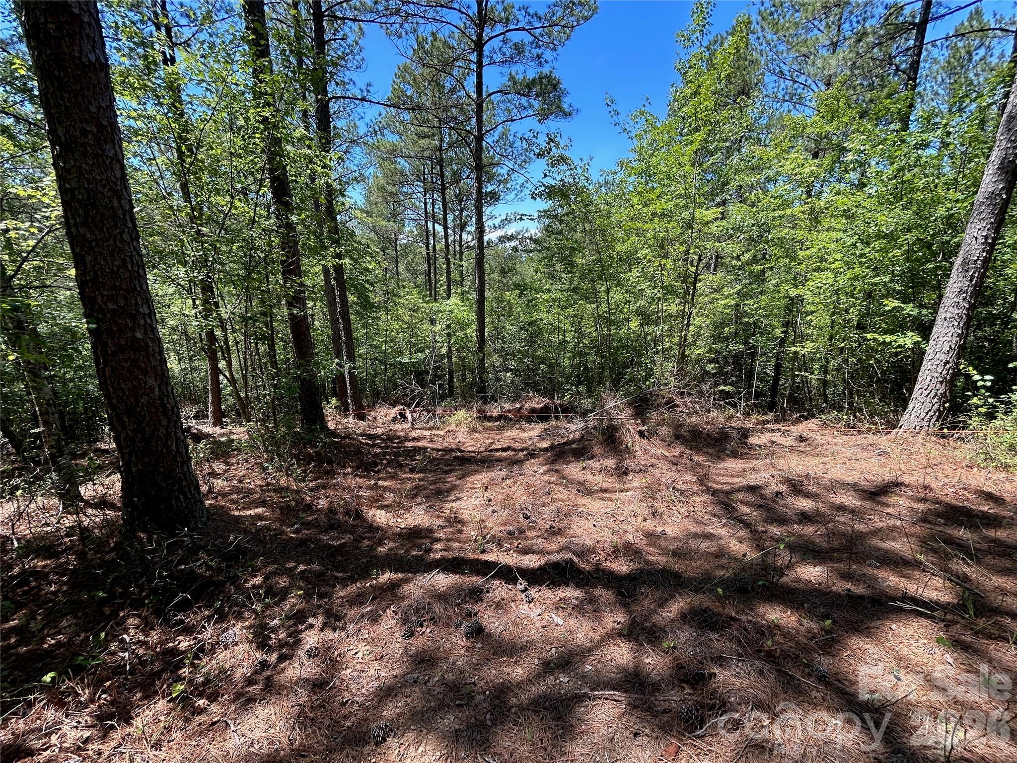 Lot at 1175 HIDDEN COVE Lane, Connelly Springs, photo 2 of 15