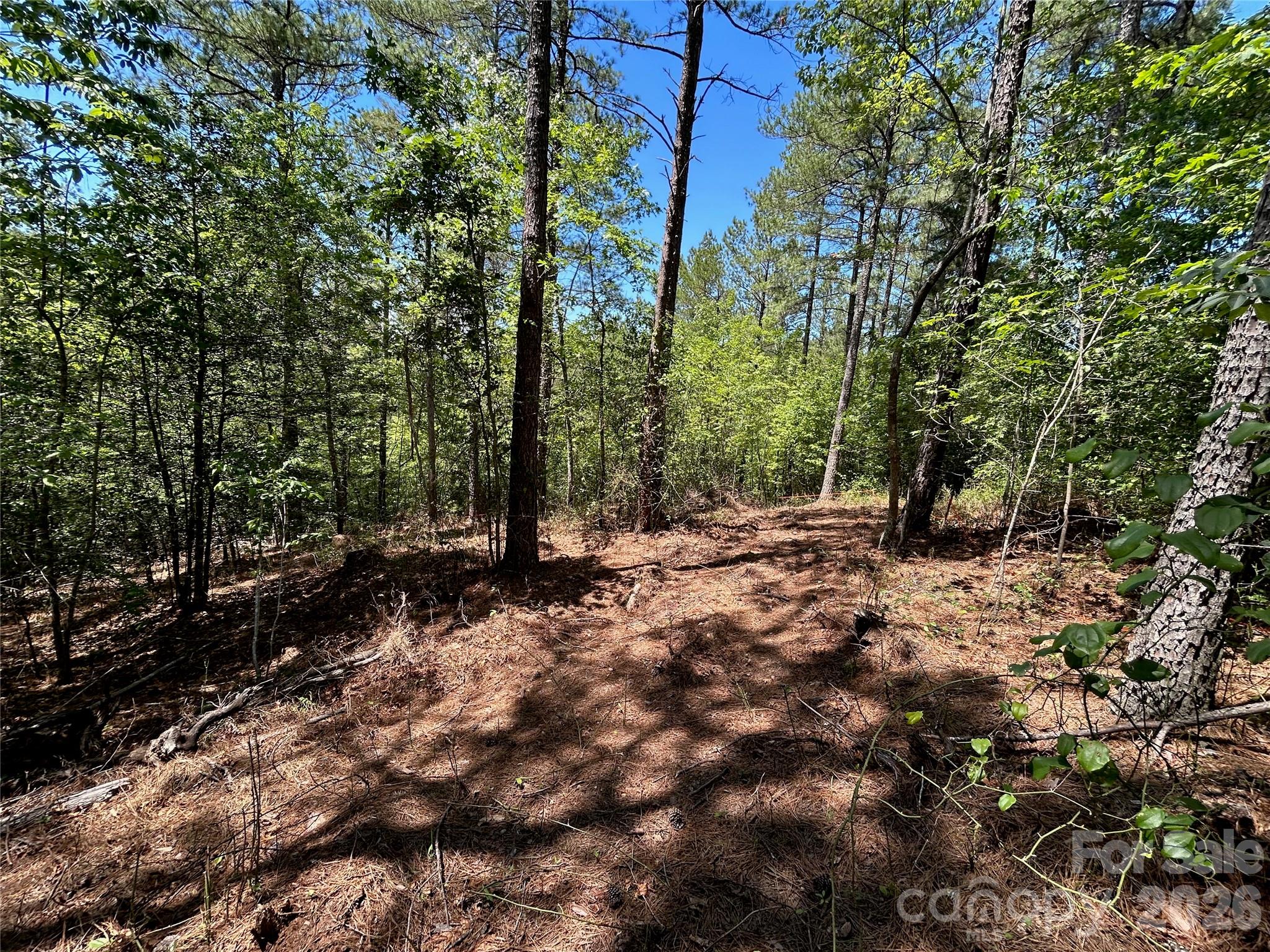 Lot at 1175 HIDDEN COVE Lane, Connelly Springs, photo 4 of 15