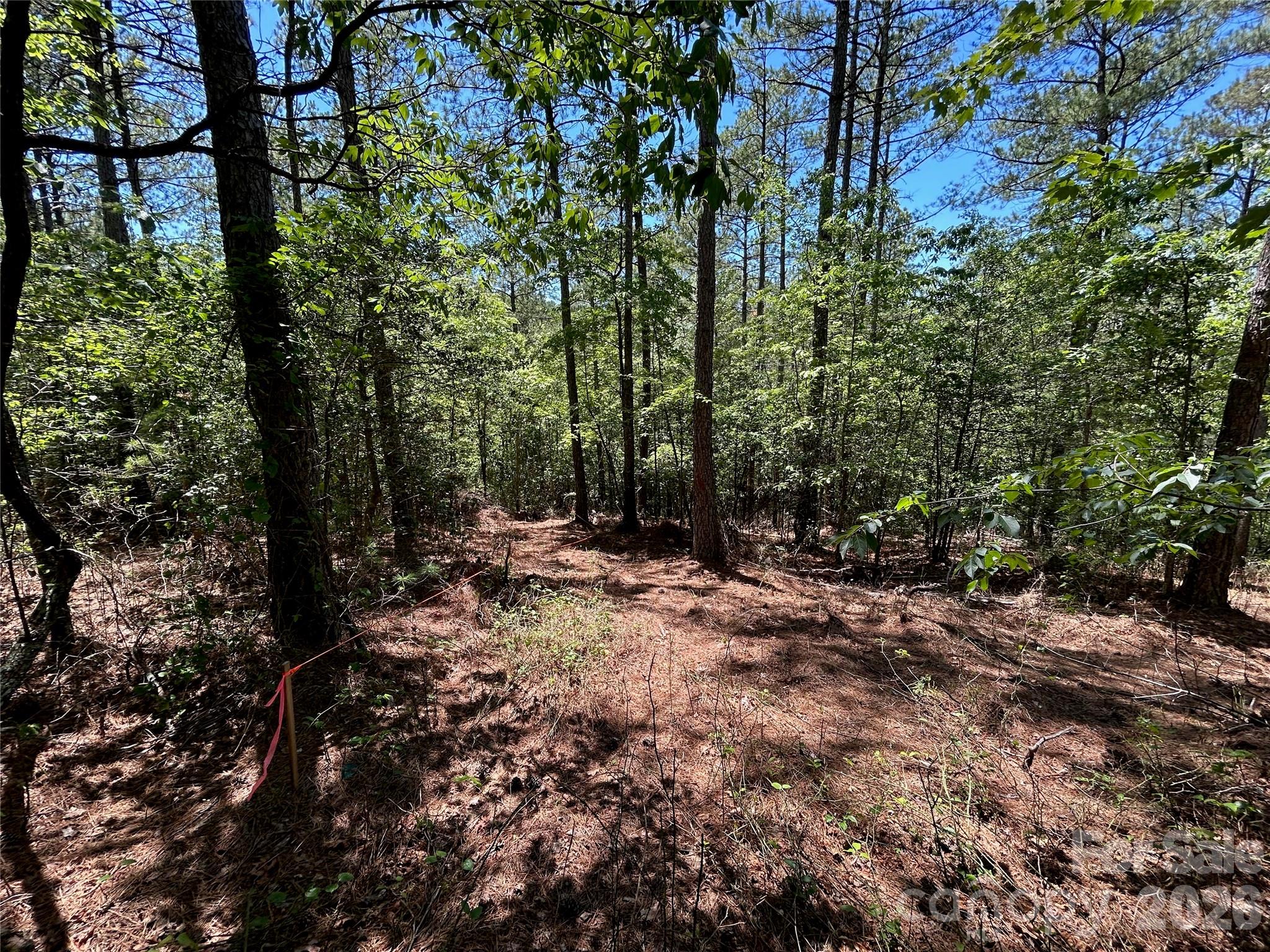 Lot at 1175 HIDDEN COVE Lane, Connelly Springs, photo 8 of 15