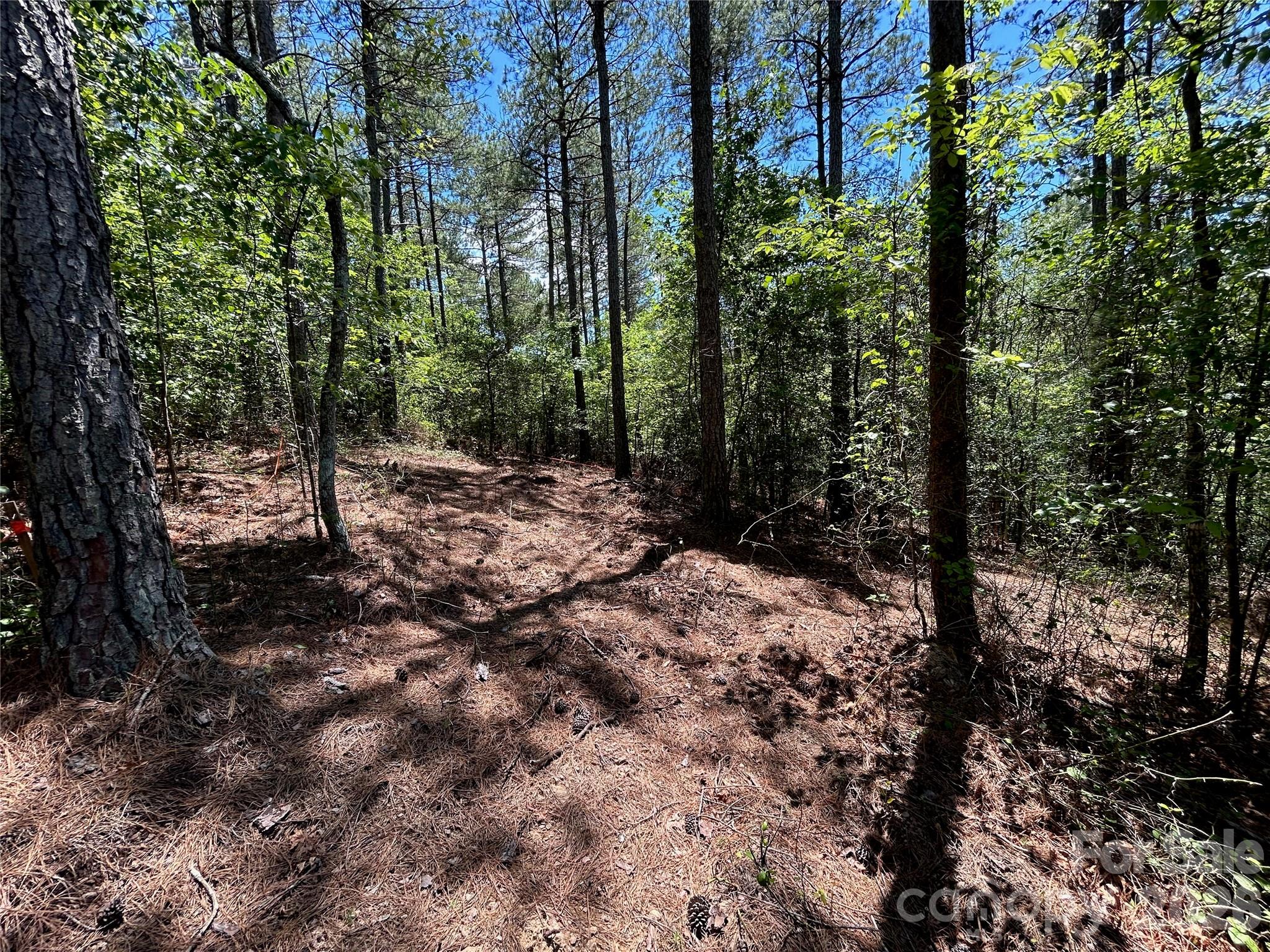 Lot at 1175 HIDDEN COVE Lane, Connelly Springs, photo 9 of 15