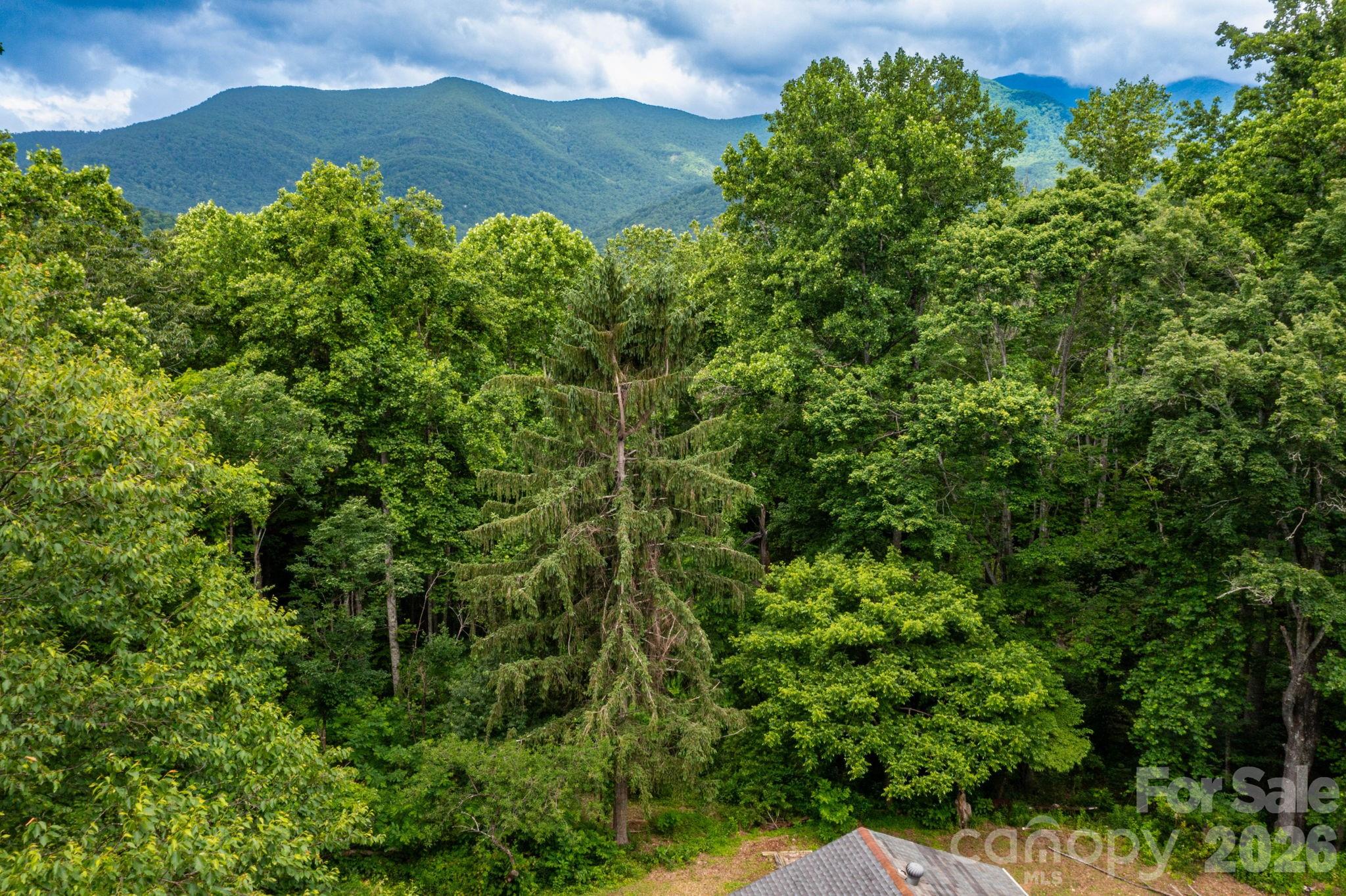 Lot at 191 Walkertown Road, Black Mountain, photo 3 of 9