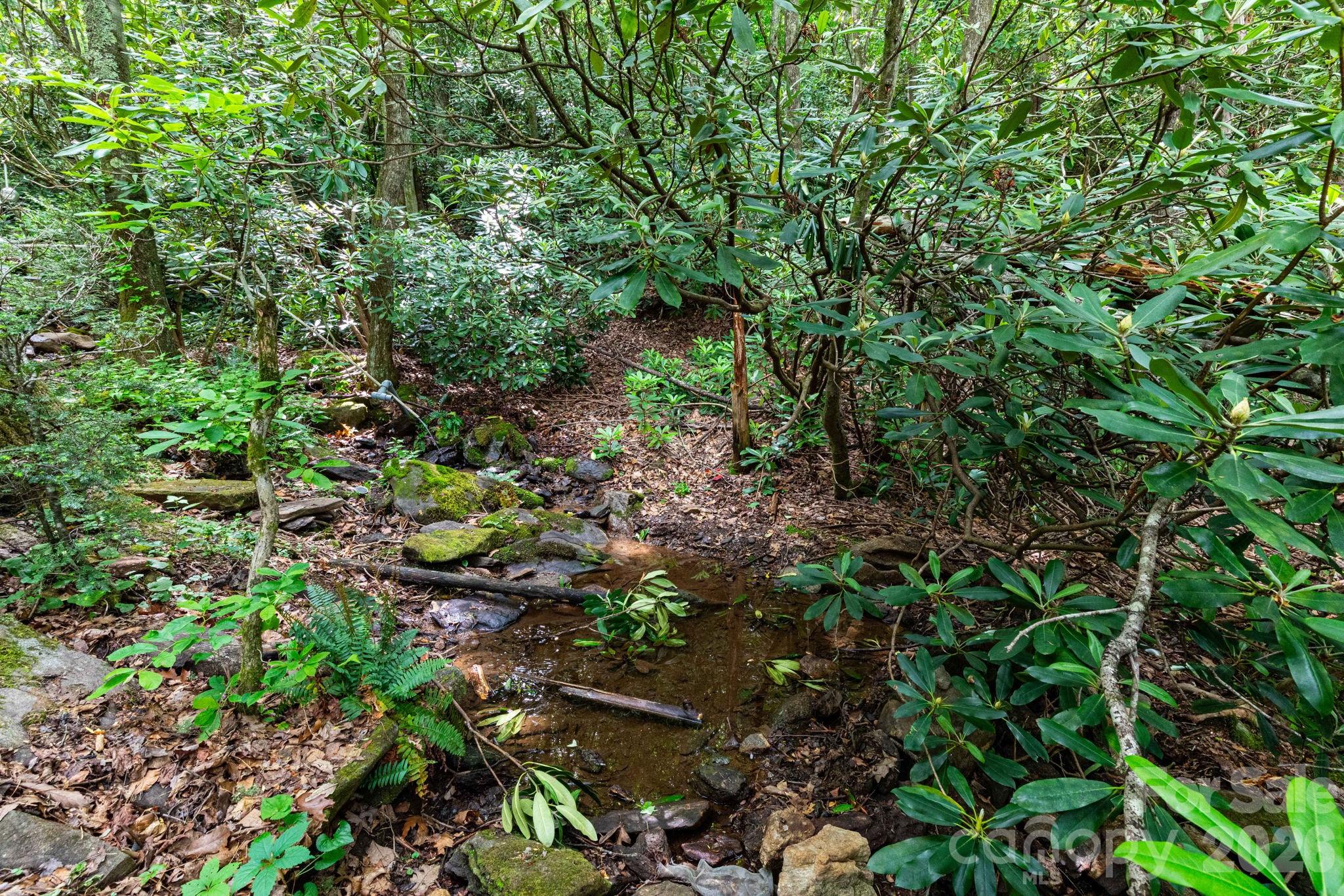 Lot at 191 Walkertown Road, Black Mountain, photo 6 of 9