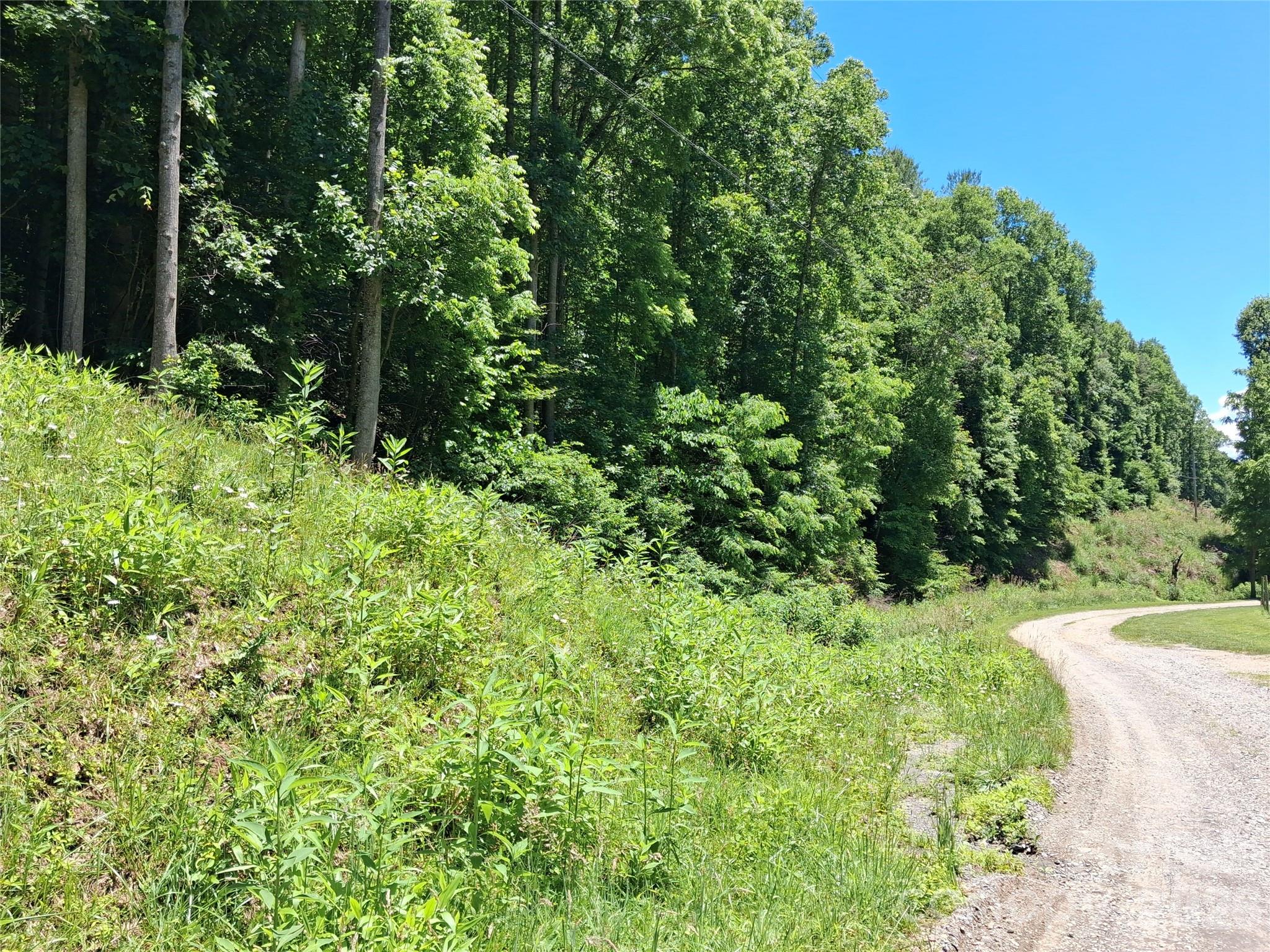 Acreage at TBD Wooded Mountain Trail, Mars Hill, photo 3 of 14