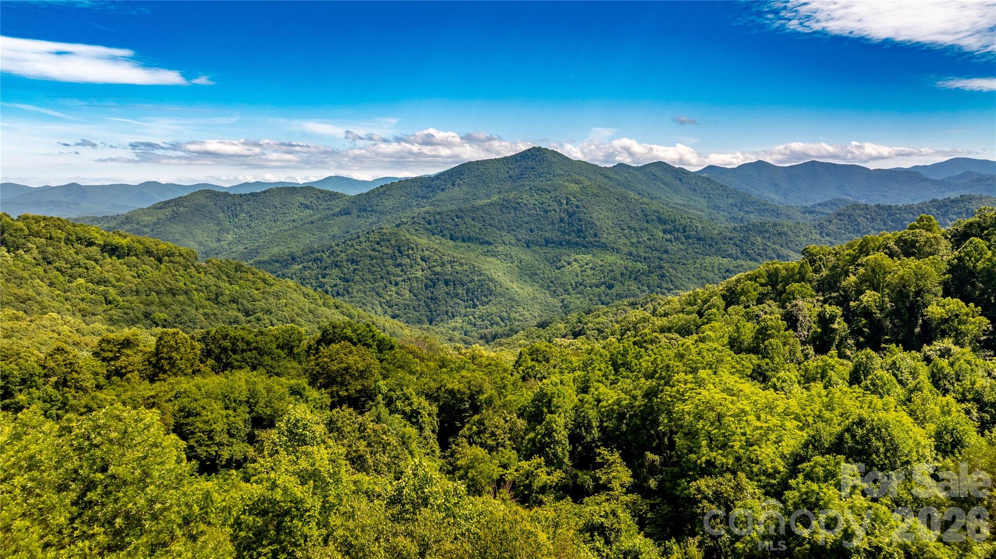 Acreage at 0000 High Rock View Drive, Canton, photo 2 of 19