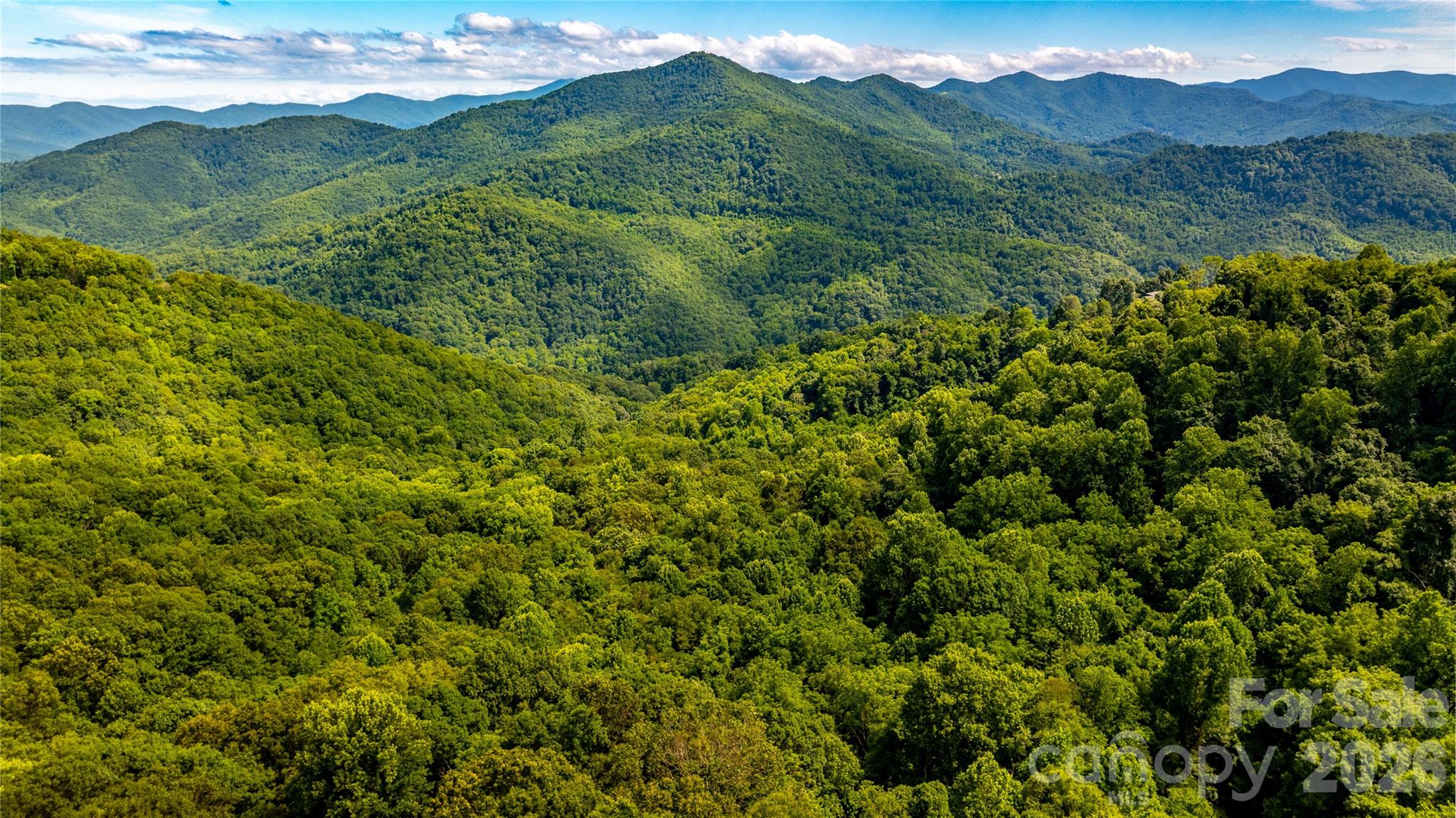 Acreage at 0000 High Rock View Drive, Canton, photo 7 of 19