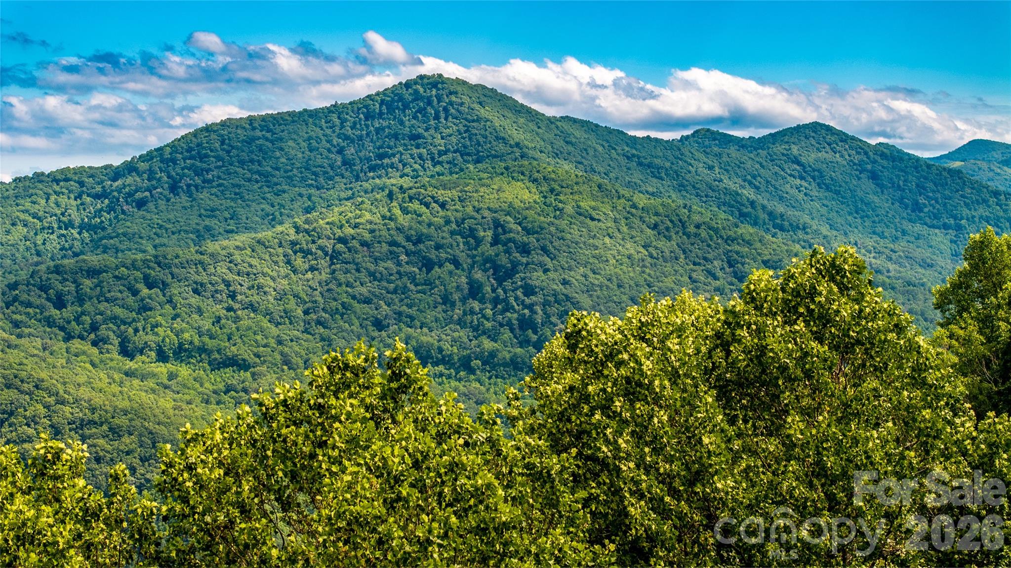 Acreage at 0000 High Rock View Drive, Canton, photo 9 of 19