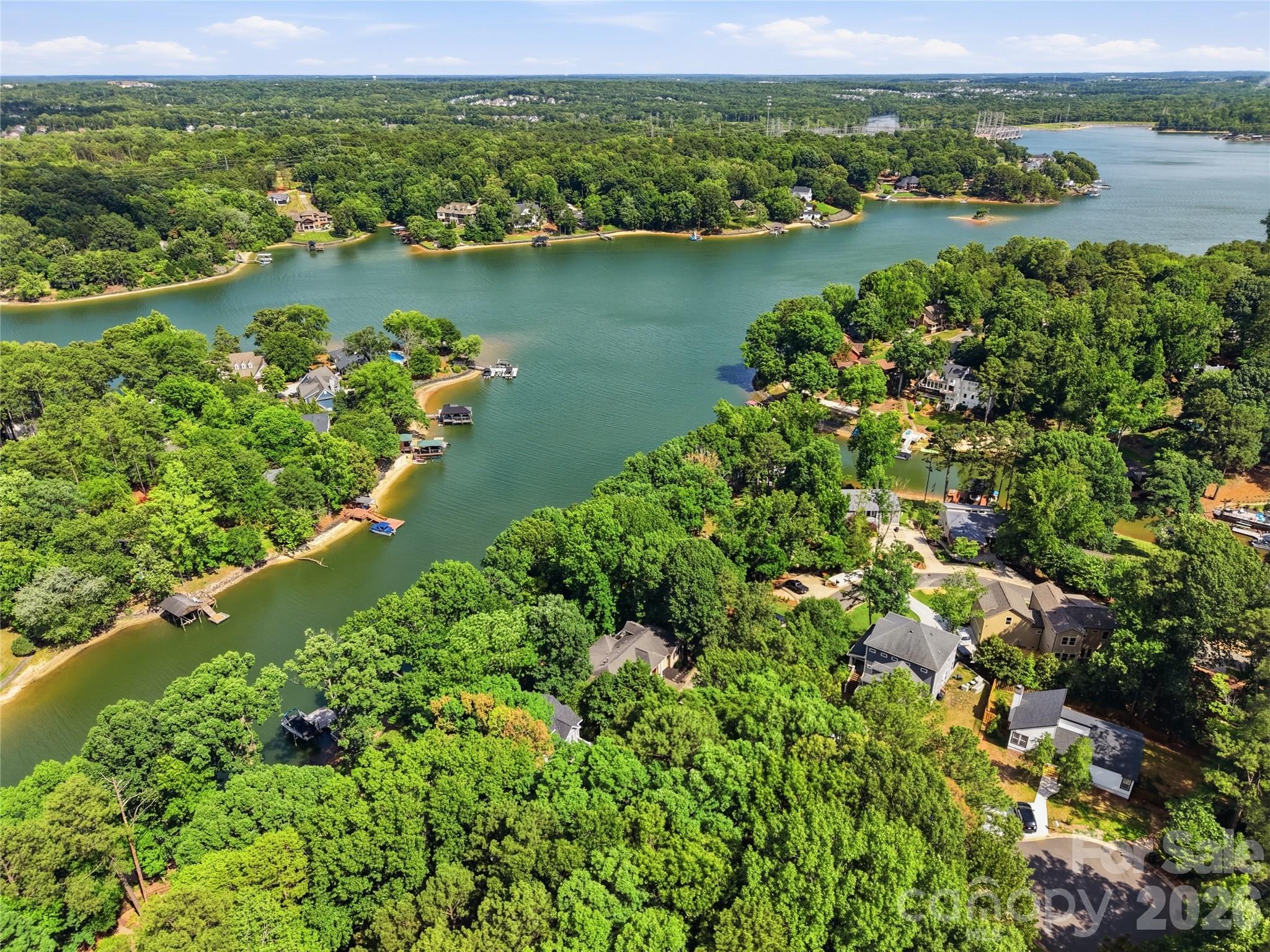Single Family Residence at 16121 Tana Tea Circle, Tega Cay, photo 3 of 47