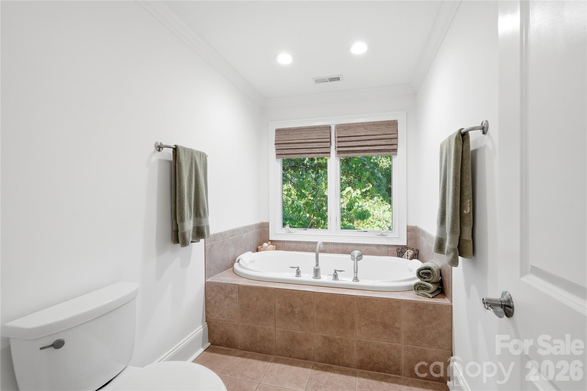Single Family Residence at 16121 Tana Tea Circle, Tega Cay, photo 20 of 47