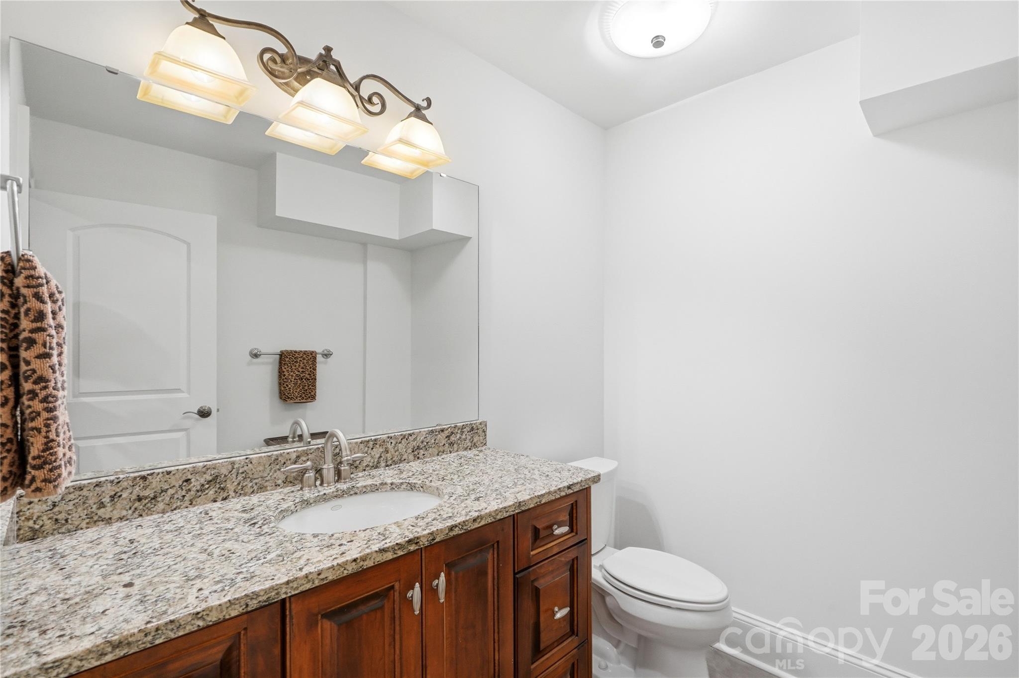 Single Family Residence at 16121 Tana Tea Circle, Tega Cay, photo 34 of 47